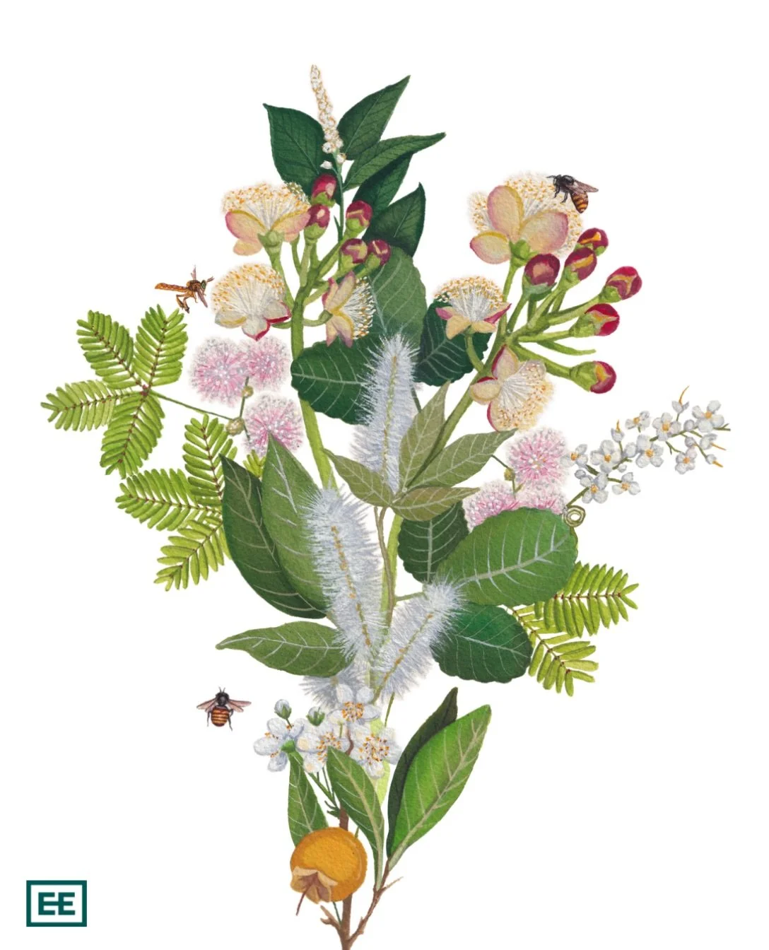 A novidade que est&aacute; para chegar &eacute; o resultado de uma rede ampla de pesquisa e pr&aacute;tica, reunida em um volume de consulta para quem planta, quem cria abelhas, quem se interessa pela flora e pelo meio ambiente.

O lan&ccedil;amento 