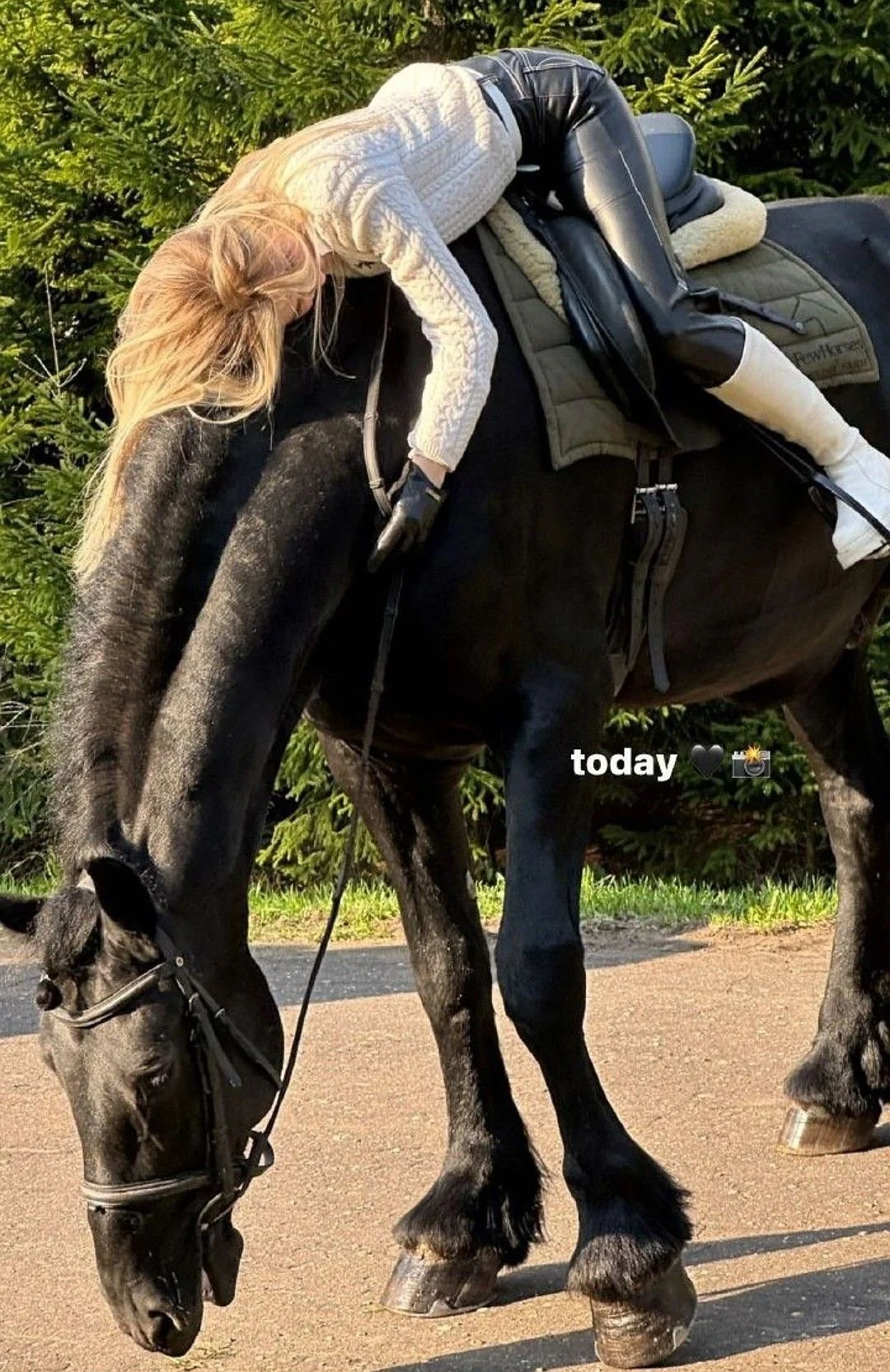 high class international travel escort
independent international travel escort