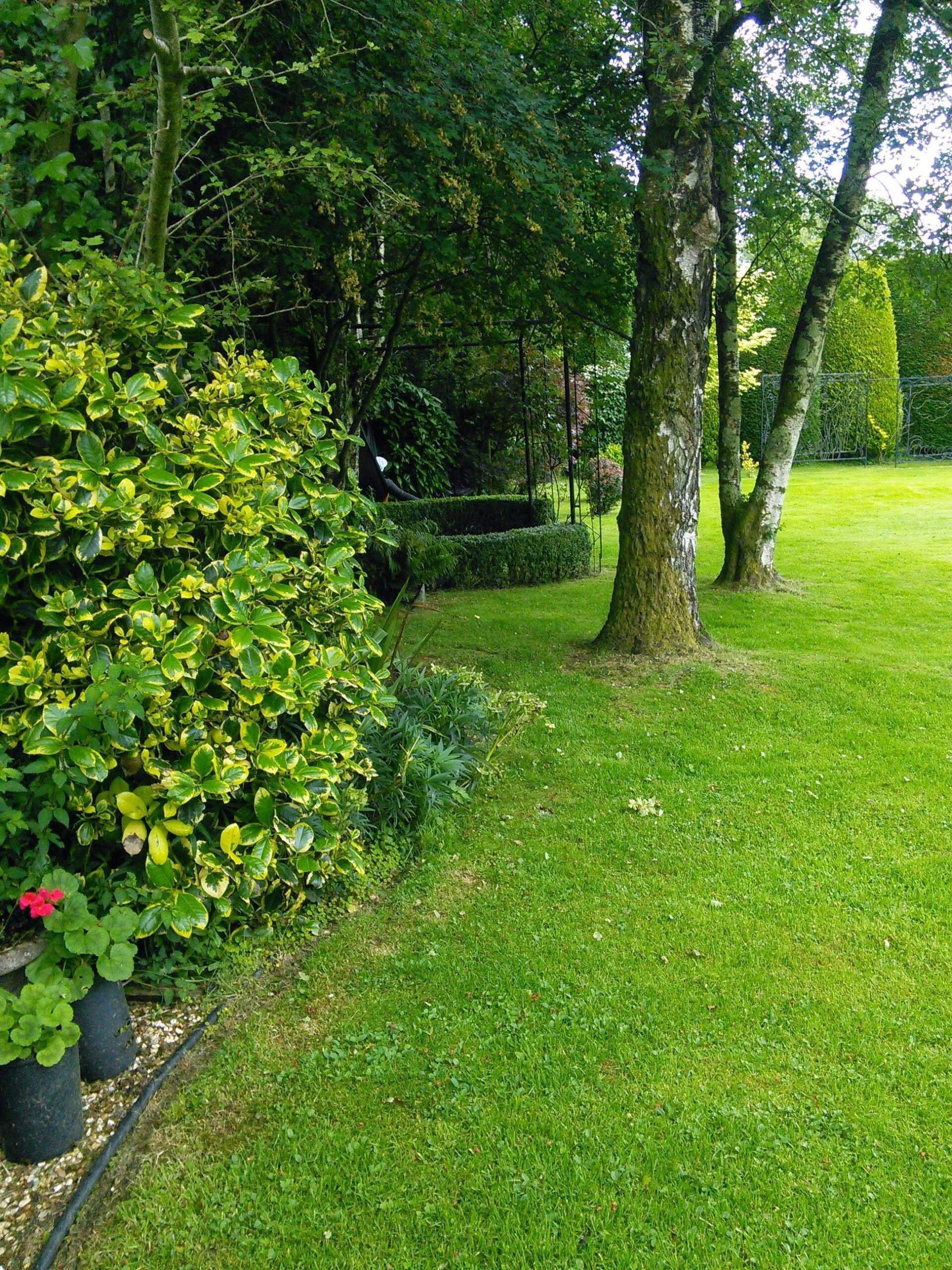 Shekina Sculpture Garden, Co. Wicklow June 2014