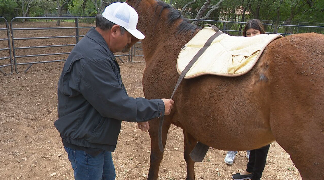Horses helping heal: Program transforms grandparents raising grandchildren