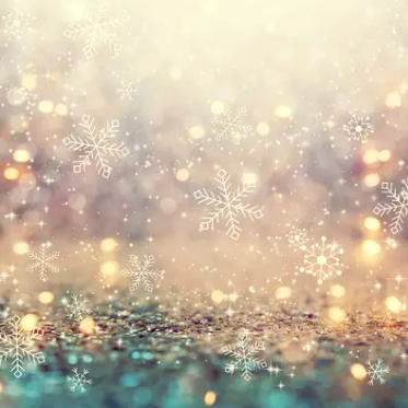 Holiday Support Series