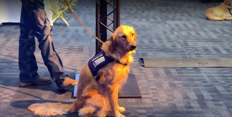 San Antonio nonprofit graduates 3 service dogs for veteran care