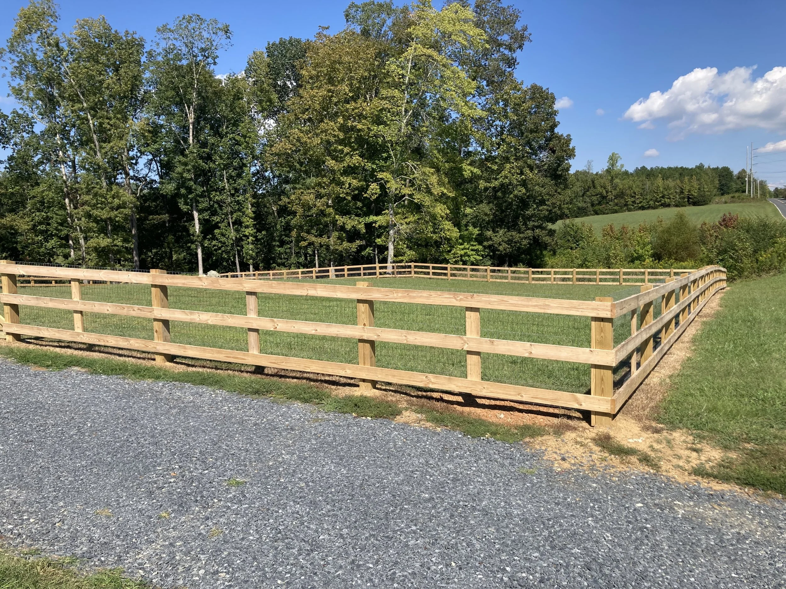 Fence 4.jpg