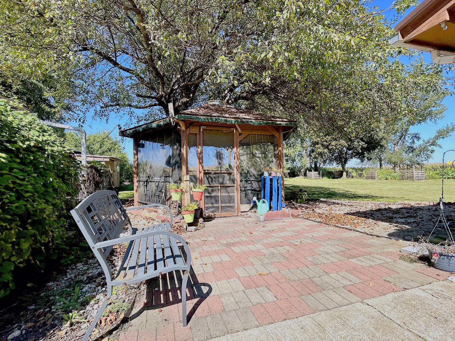 A backyard with a brick patio, metal benches, a wooden gazebo, potted plants, a watering can, and trees, under a clear blue sky.