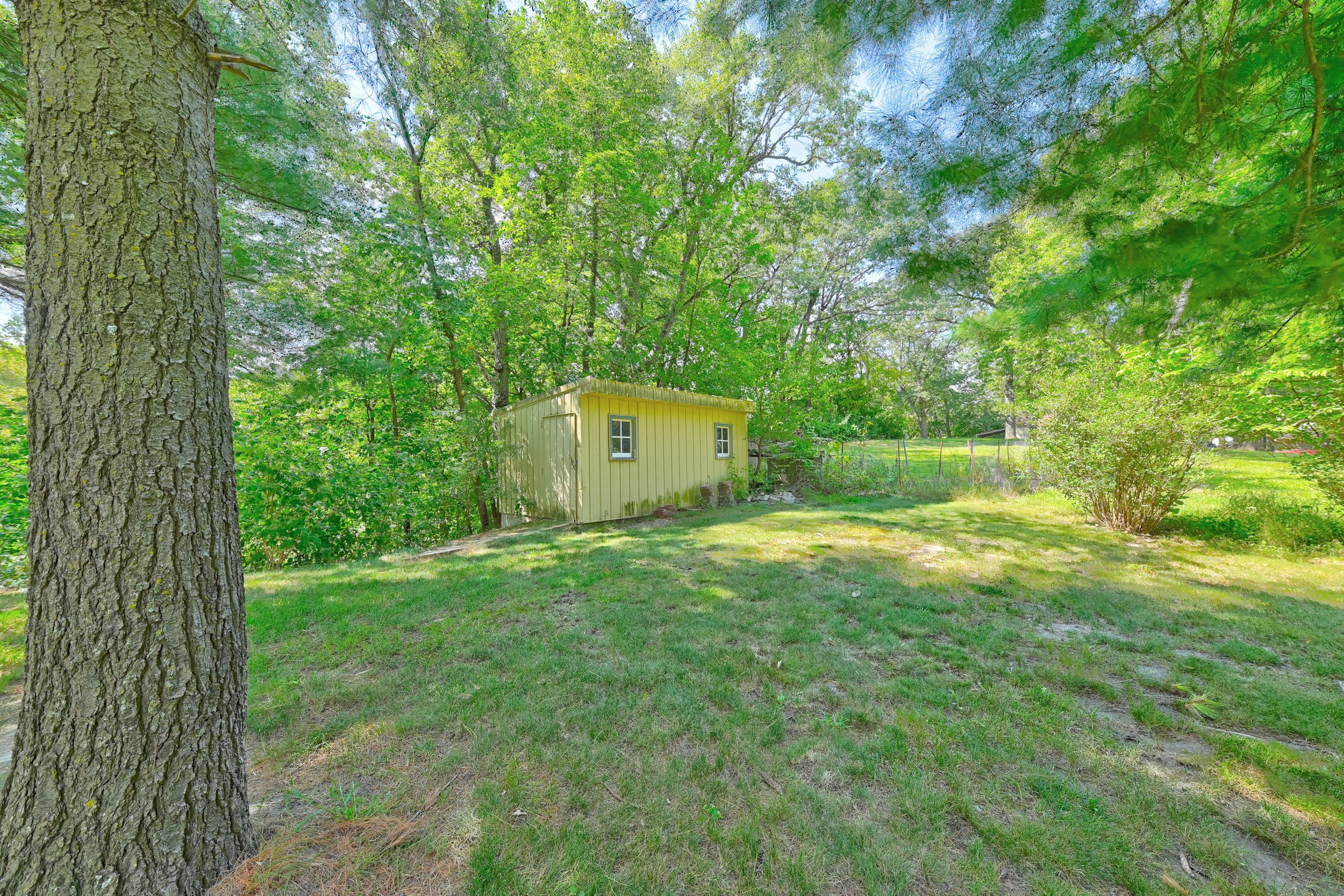 A yard with lush green grass, large trees with dense foliage, and a small yellow shed with a metal roof.