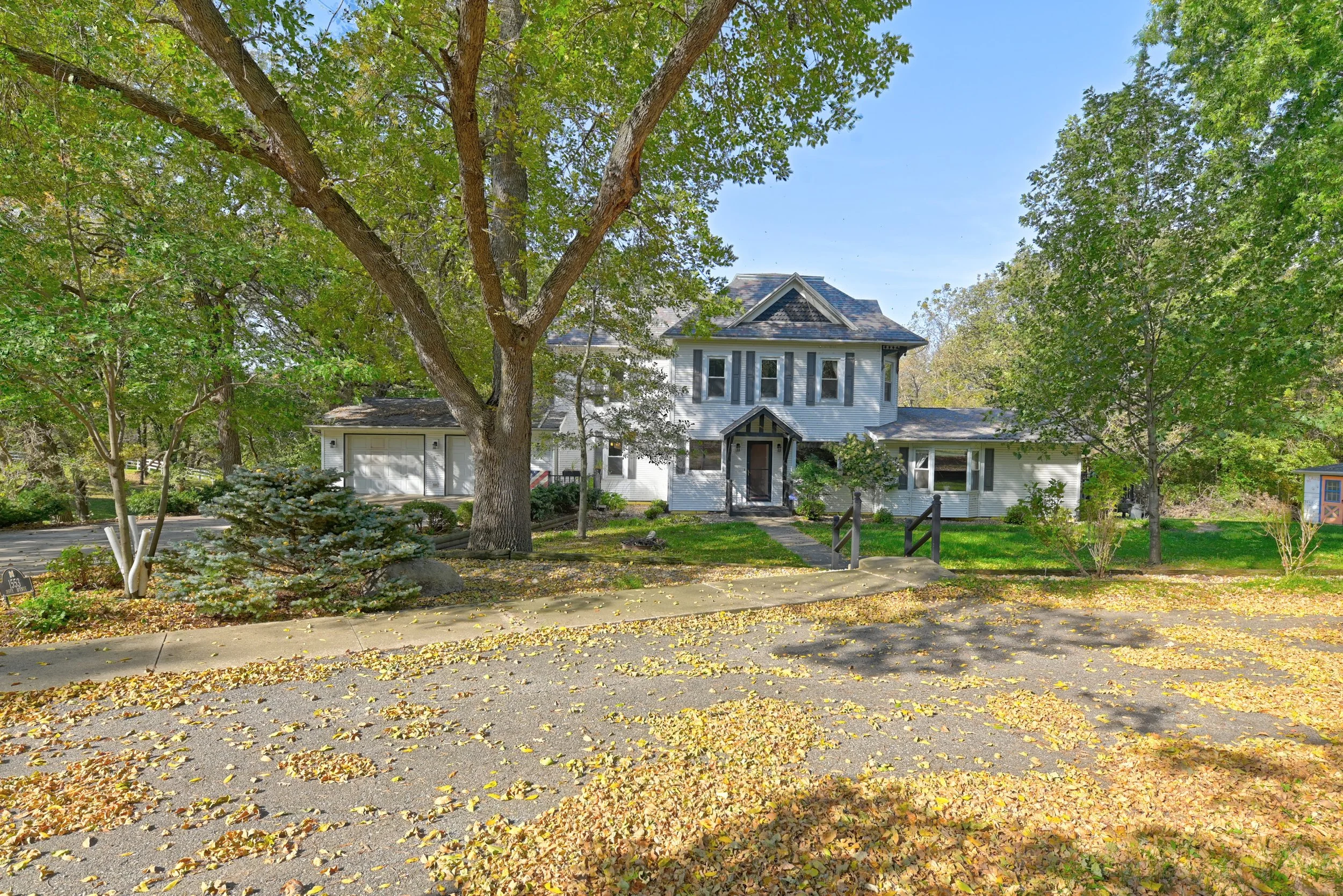 A house with white siding and a gray shingle roof visible through several large trees with green leaves. There is a paved sidewalk in the foreground covered in scattered fallen yellow leaves. The sky is clear and blue.