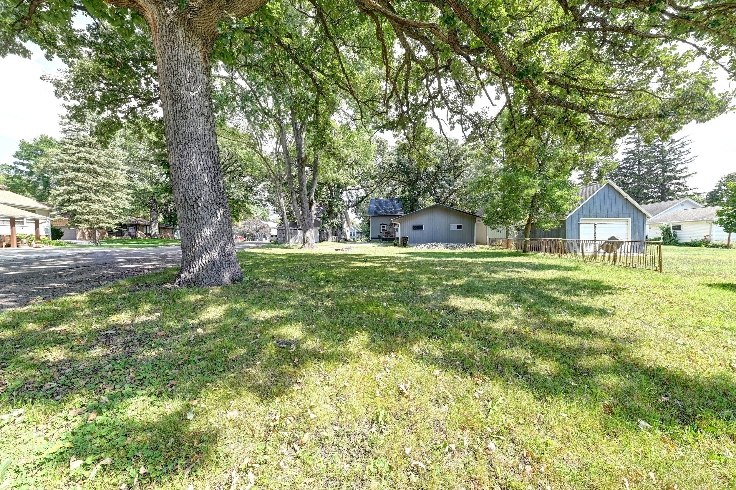 A suburban backyard with a large tree providing shade, green grass, and neighboring houses visible in the background.