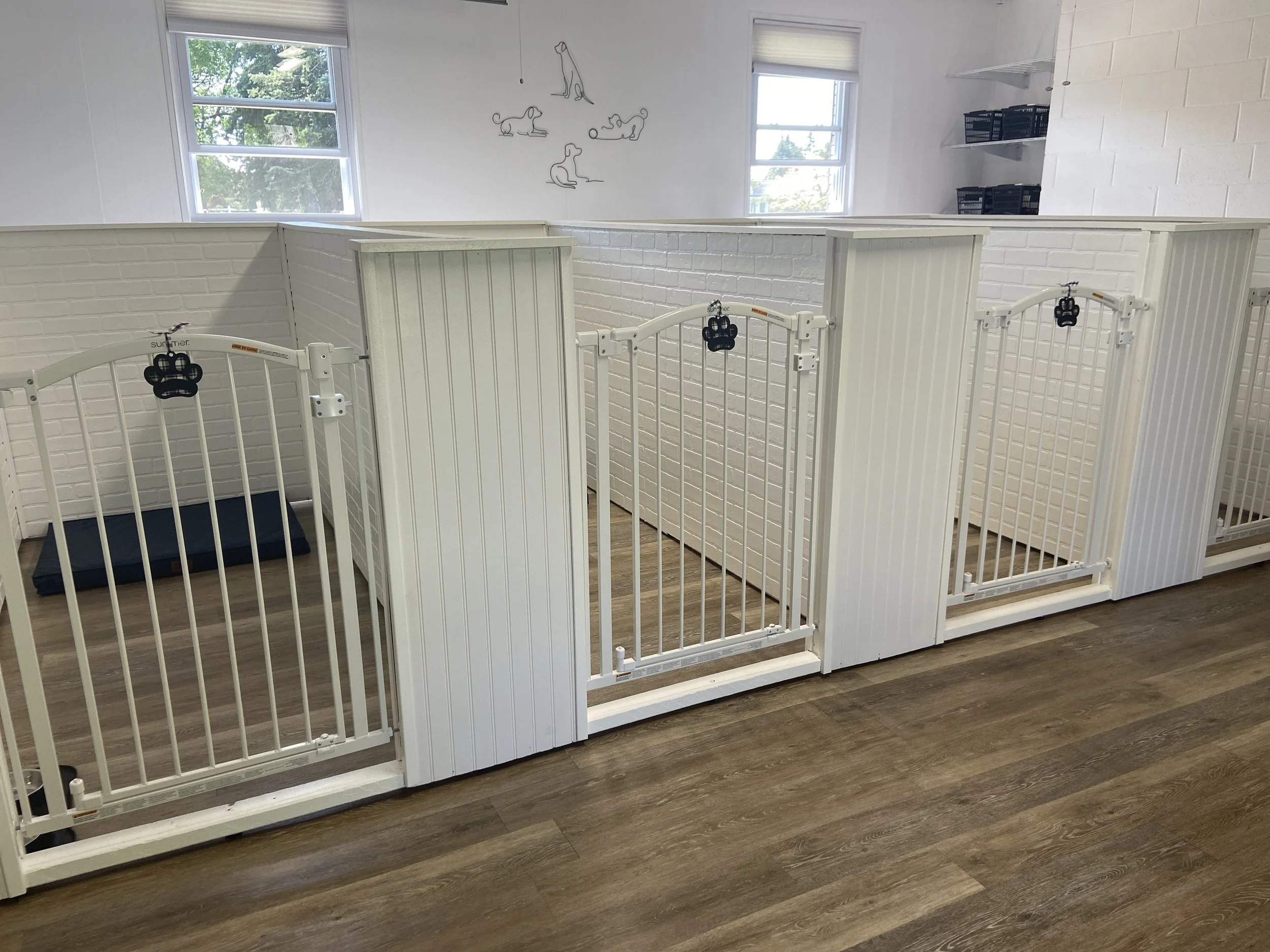 Puleo Pets Dog Boarding and Daycare Service in Allentown, Macungie, and