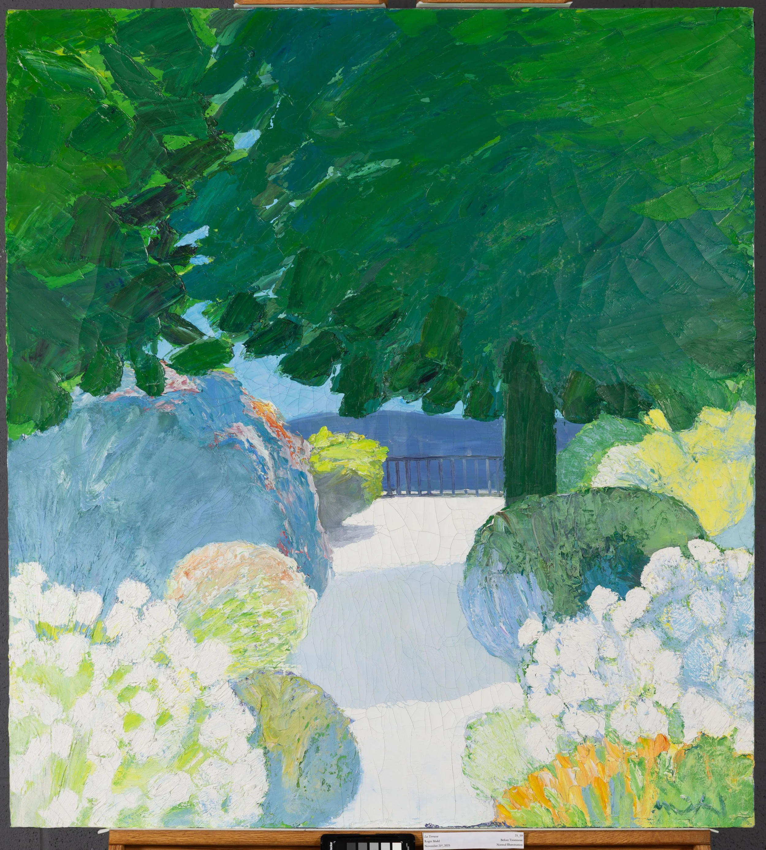 Before Treatment, Normal Illumination