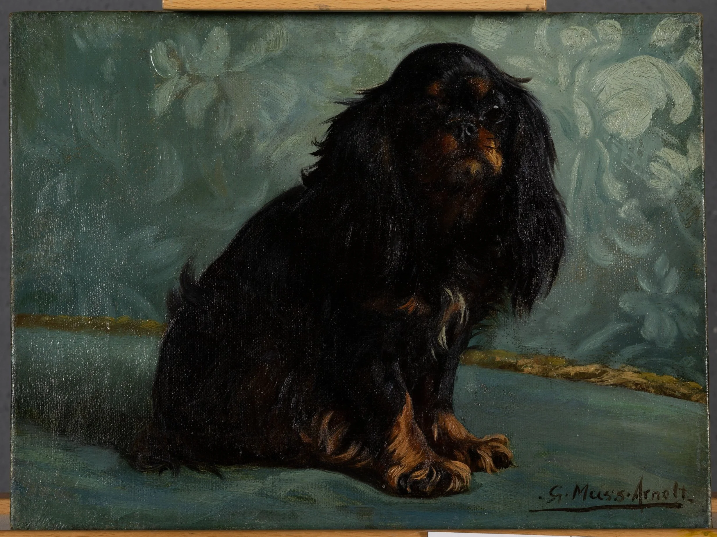 Fig. 6c Black and Tan