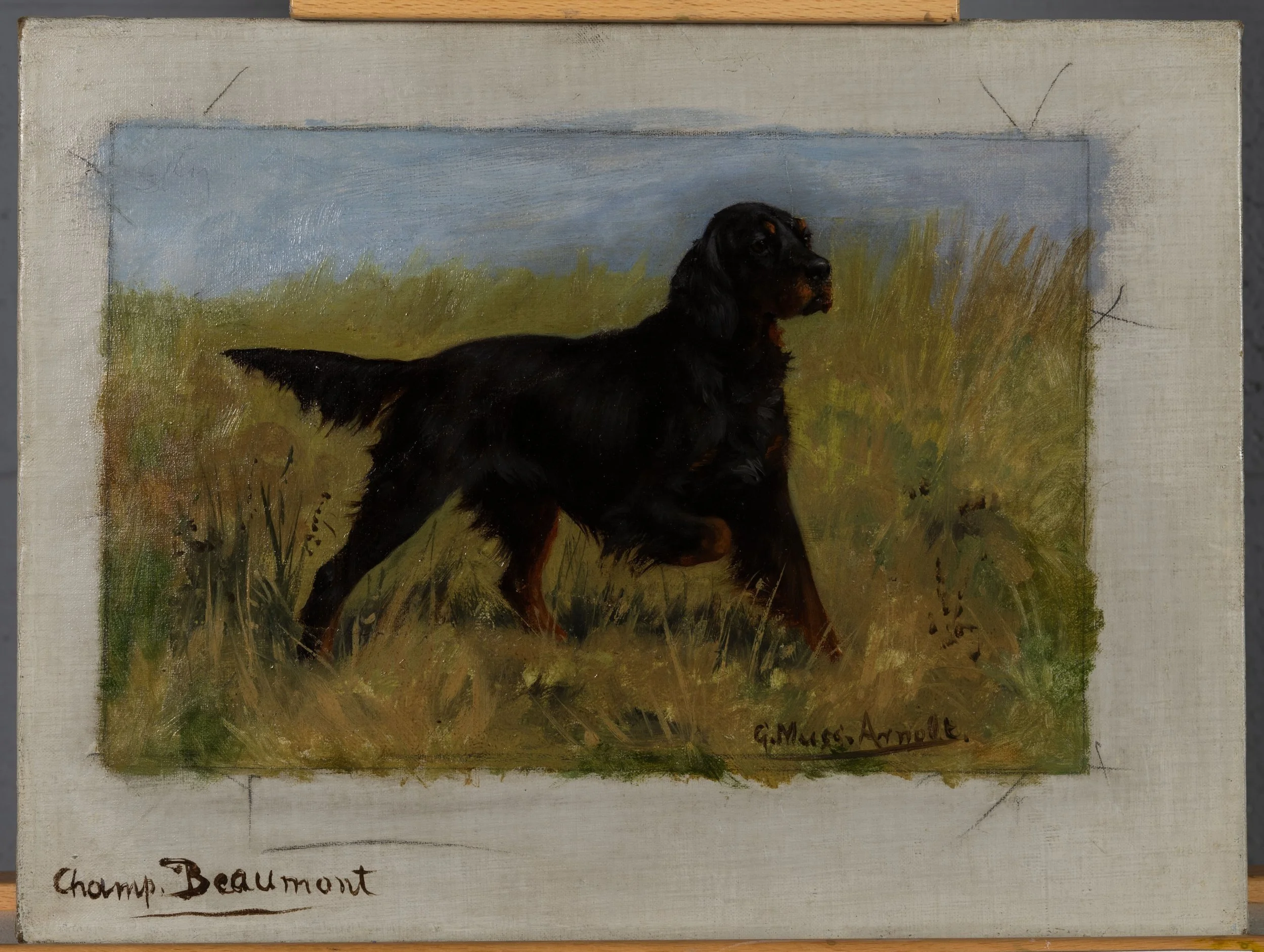 Fig. 6i Champion Beaumont