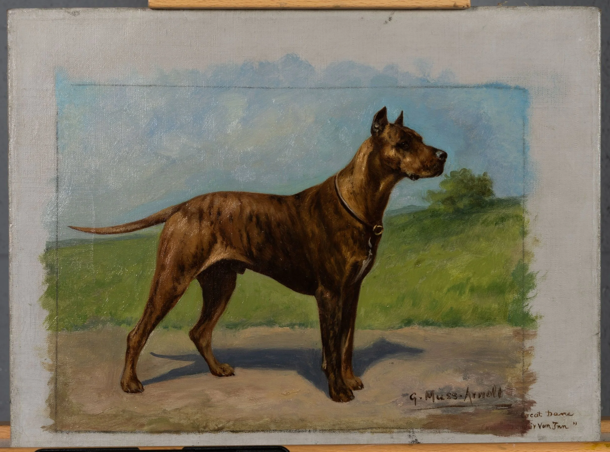 Fig. 6j Champion Sandor Vom Tun
