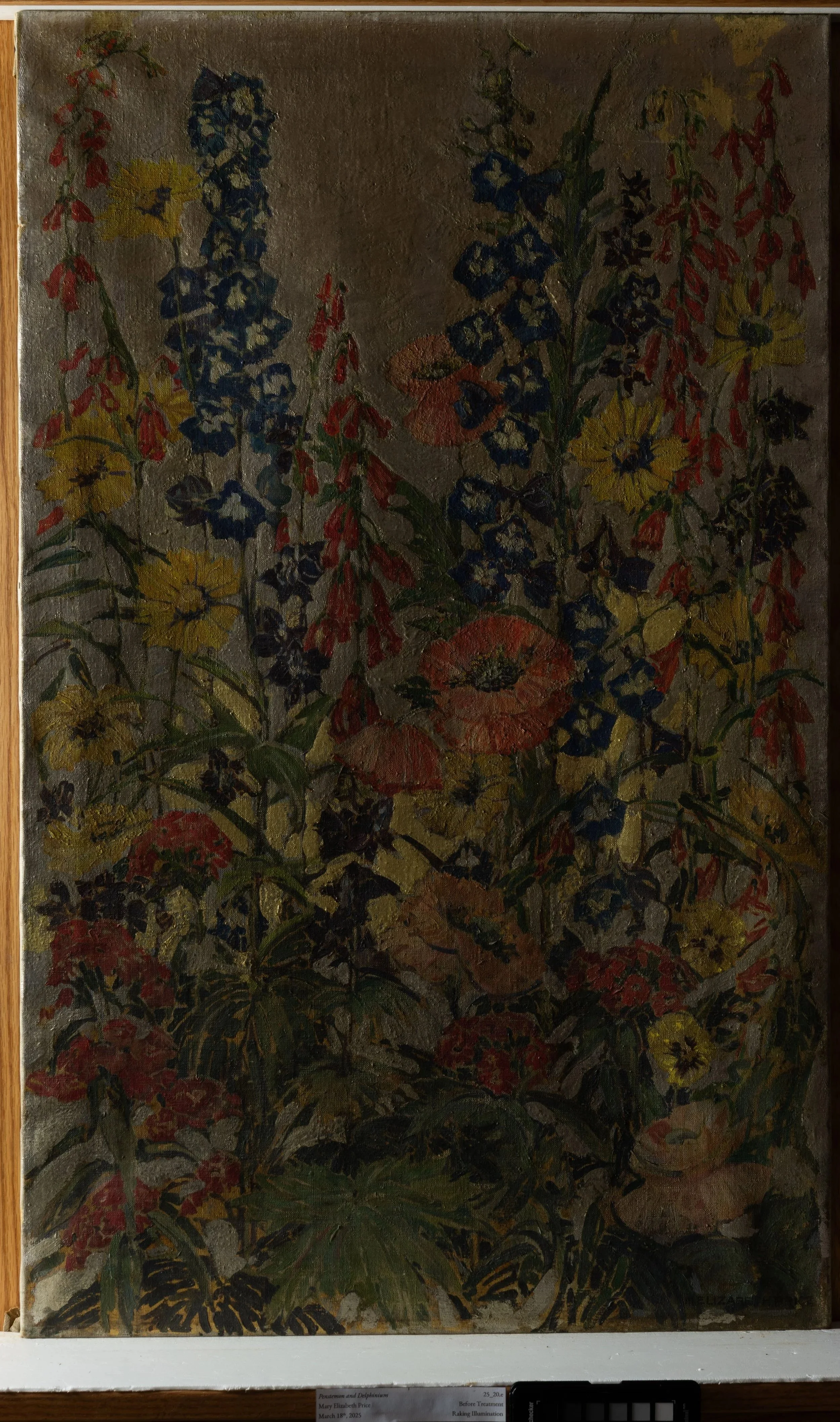 Before Treatment, Raking Illumination