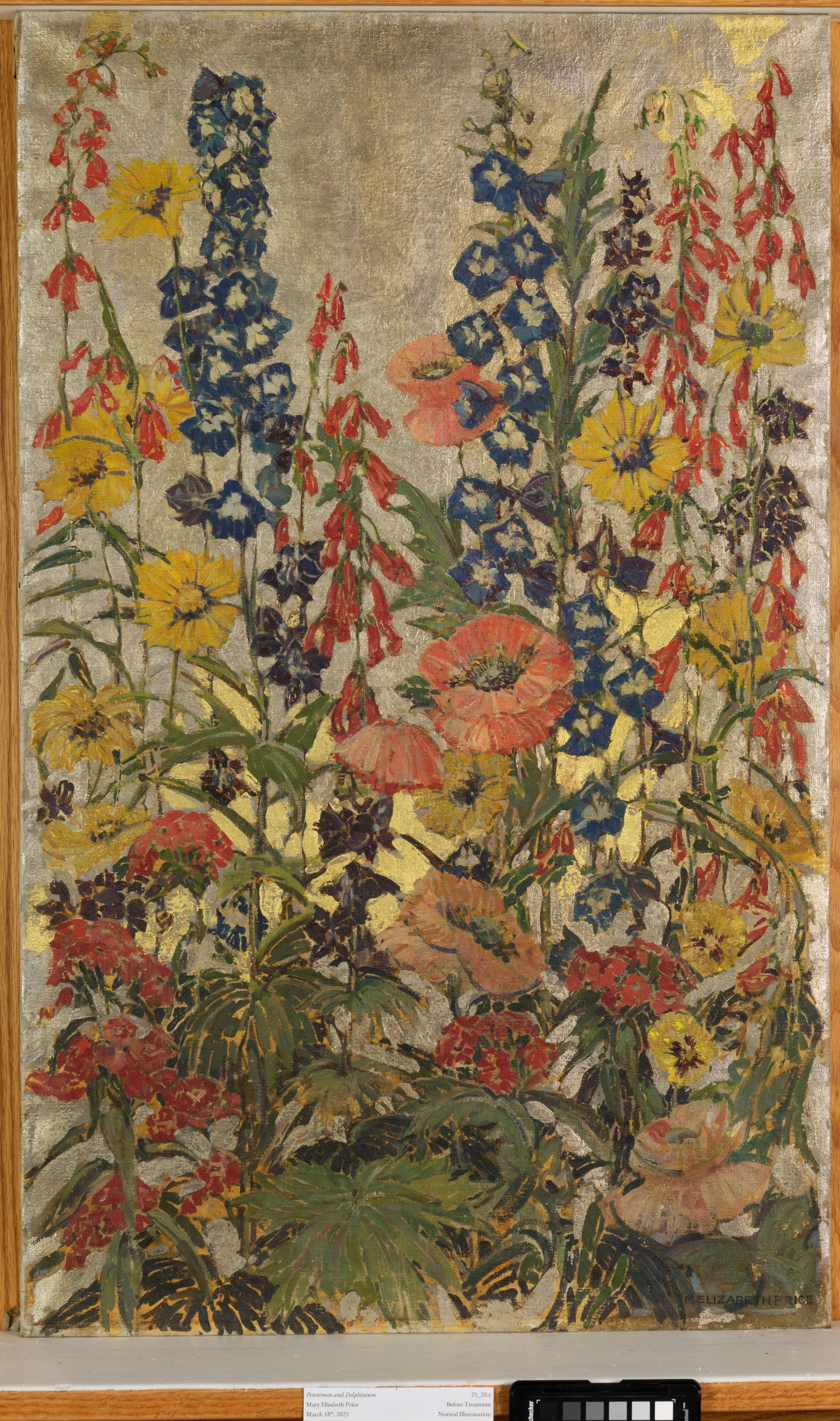 Before Treatment, Normal Illumination