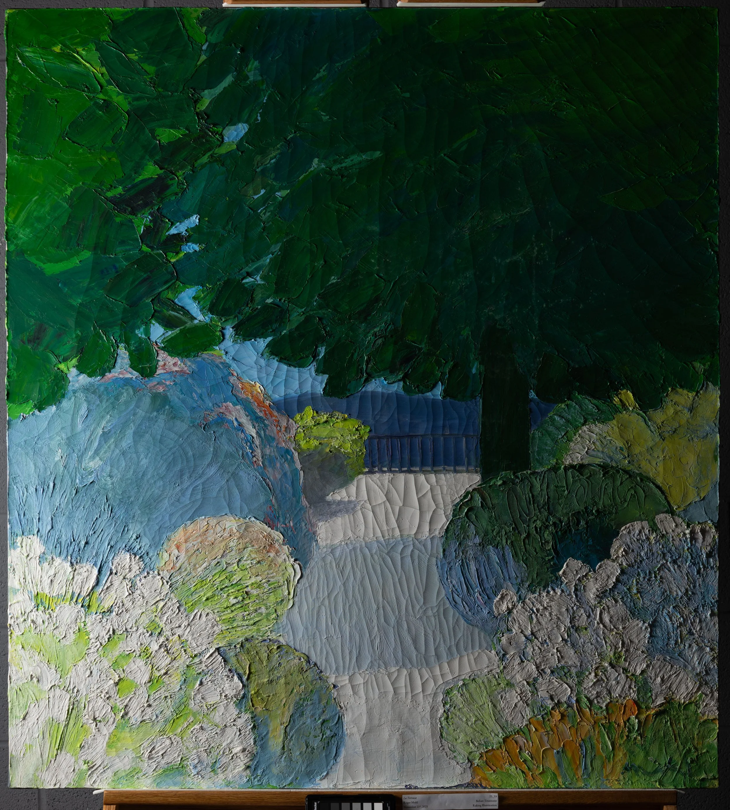 Before Treatment, Raking Illumination