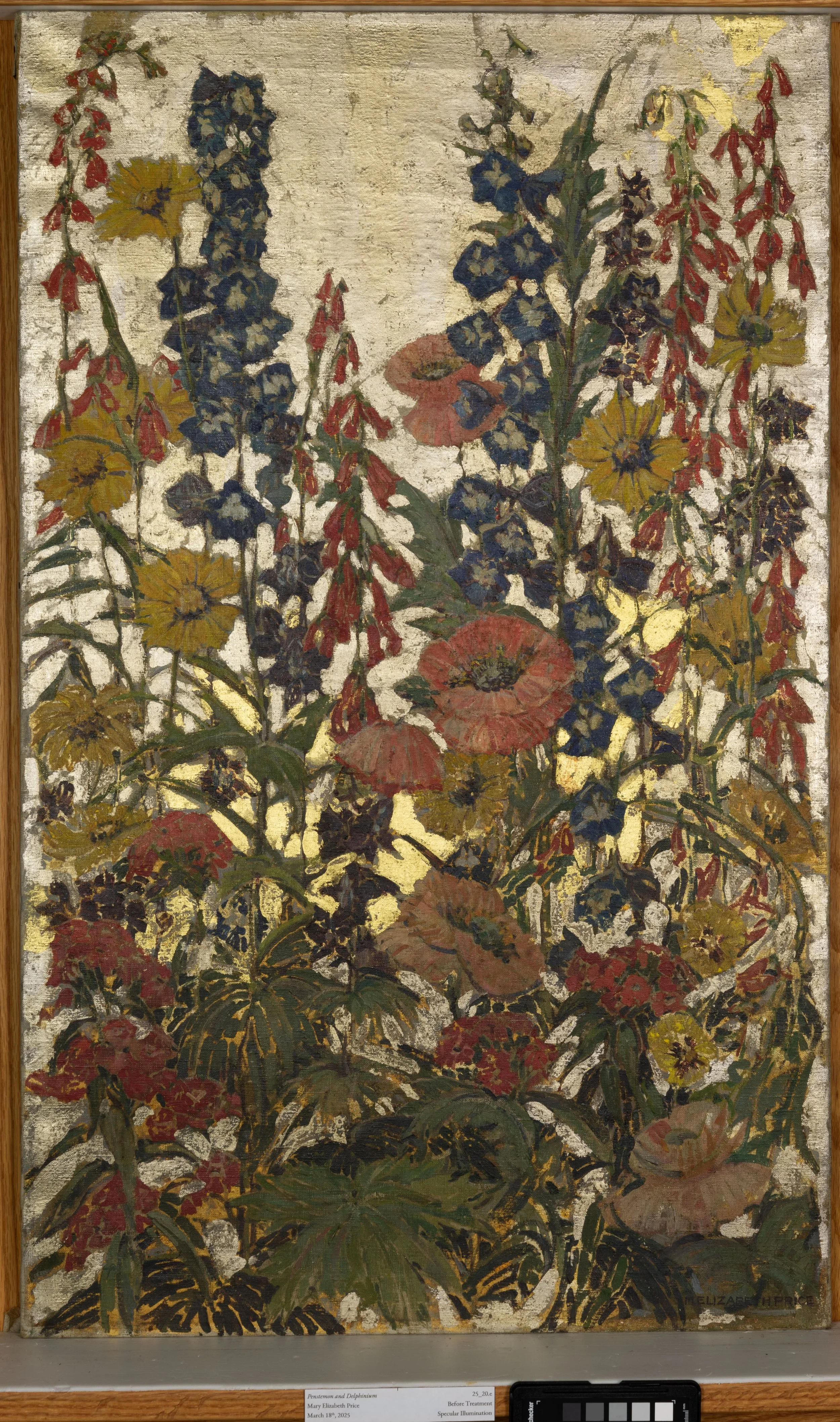 Before Treatment, Specular Illumination