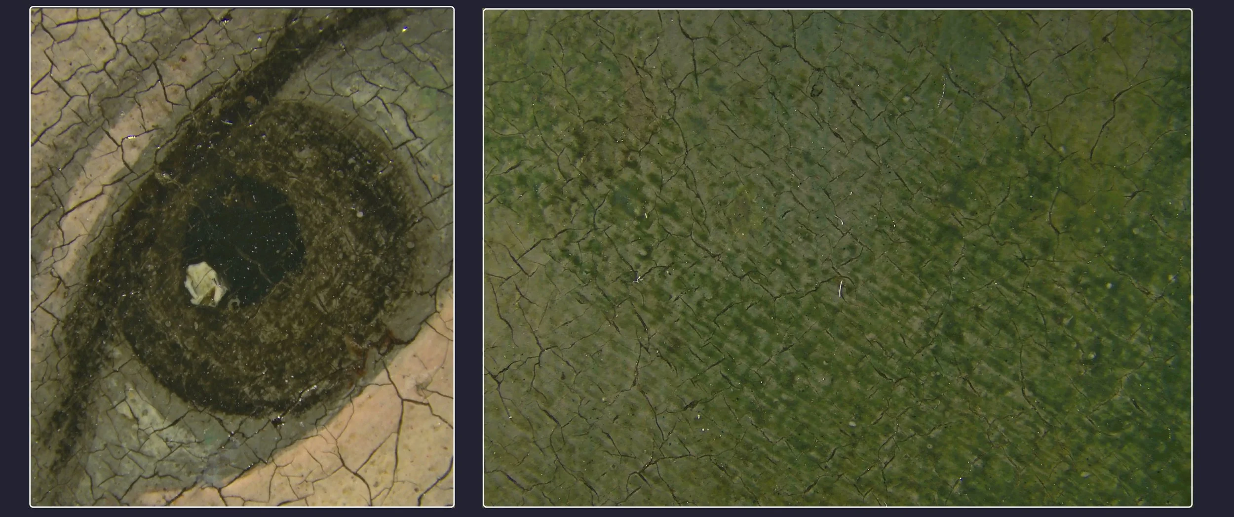 Photomicrographs highlighting overcleaned paint