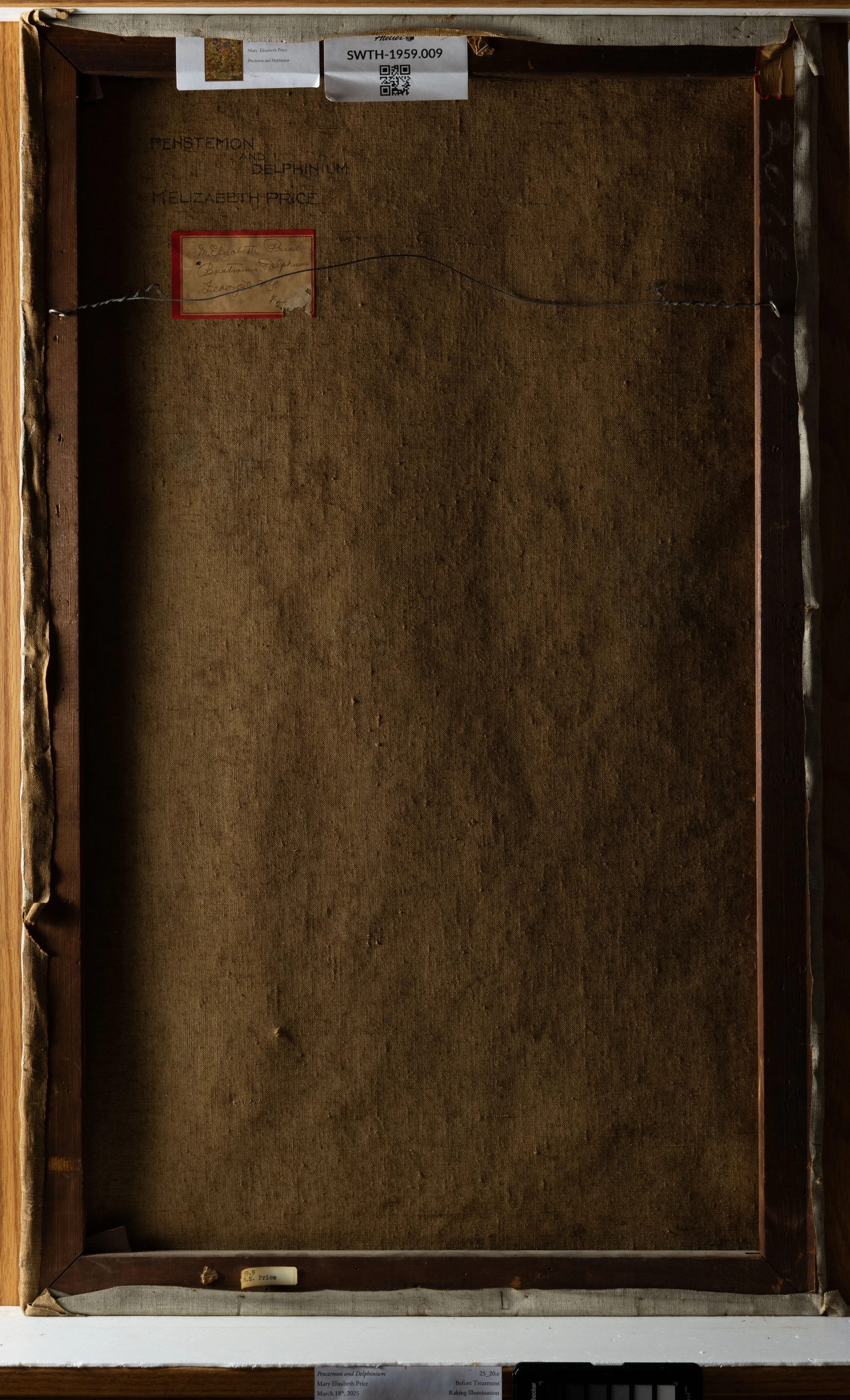 Before Treatment, Raking Illumination