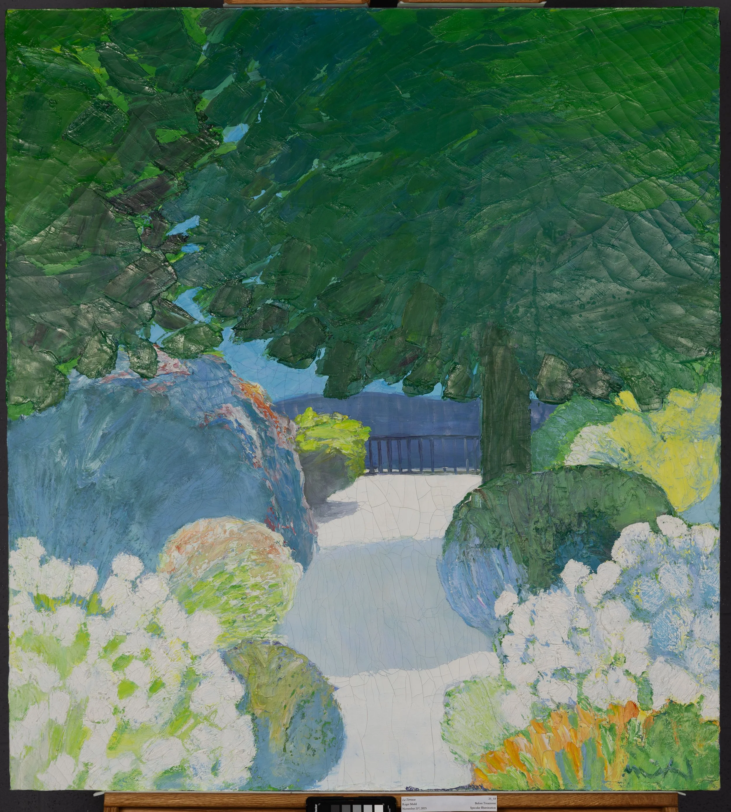 Before Treatment, Specular Illumination