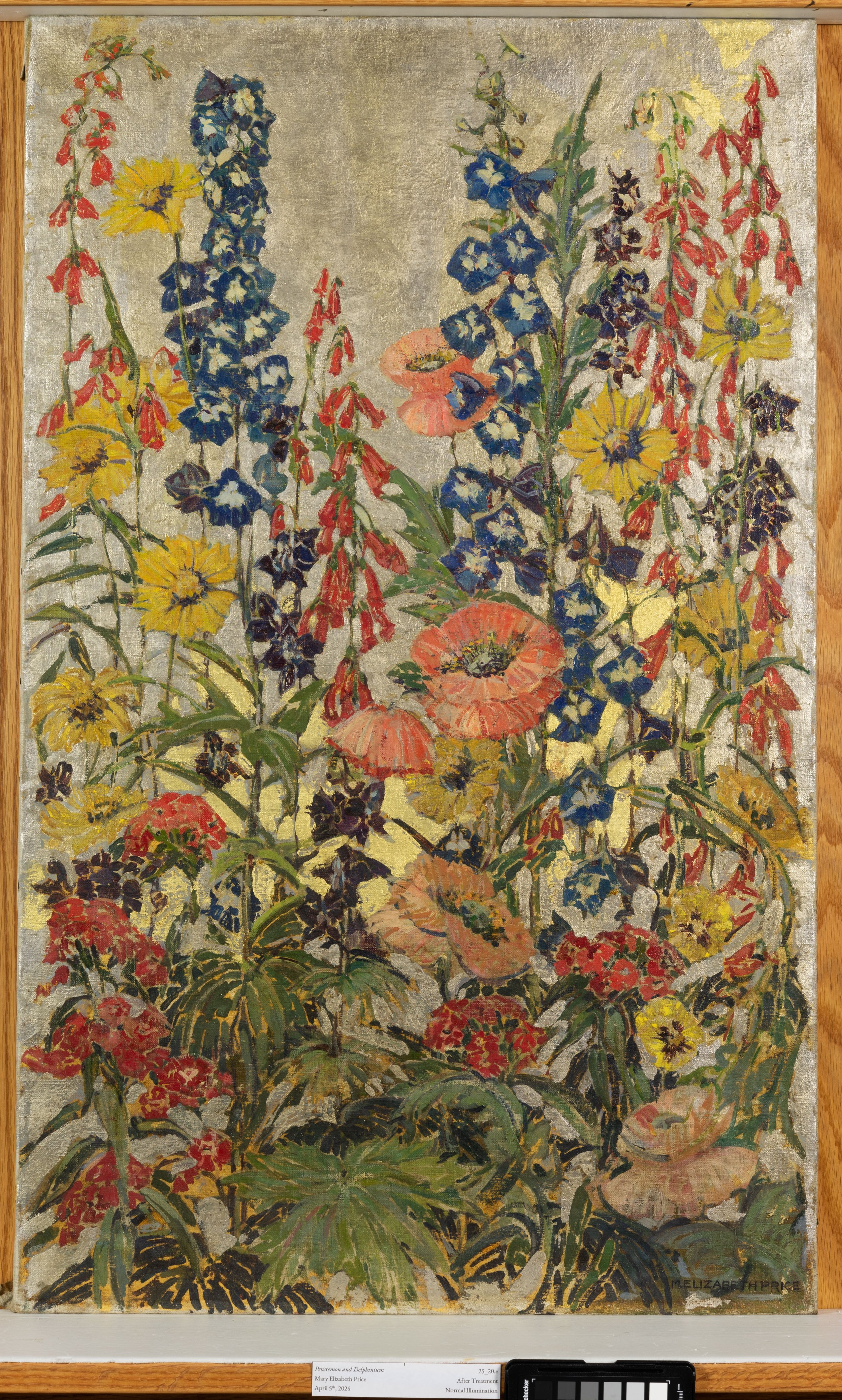 After Treatment, Normal Illumination