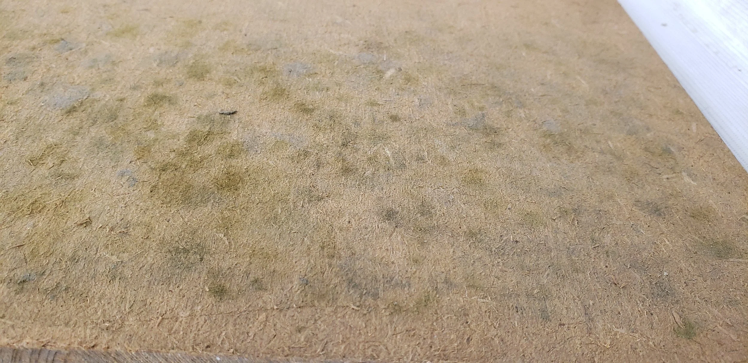 Close up of the back of a painting's canvas with green, brown, and black, splotches all over it, indicative of mold growth