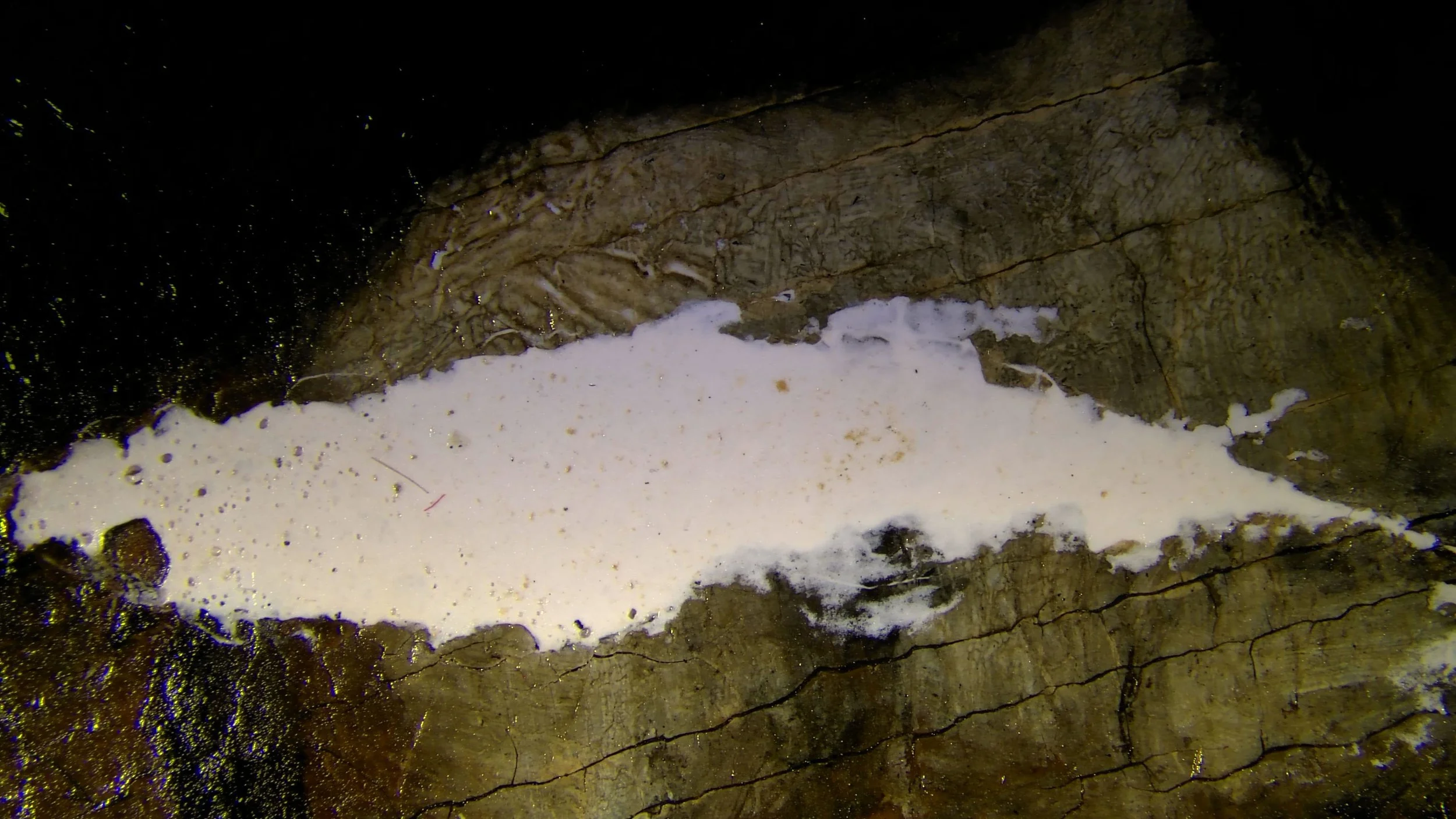 During Treatment Tear 1, 63x Magnification, Gesso Fill