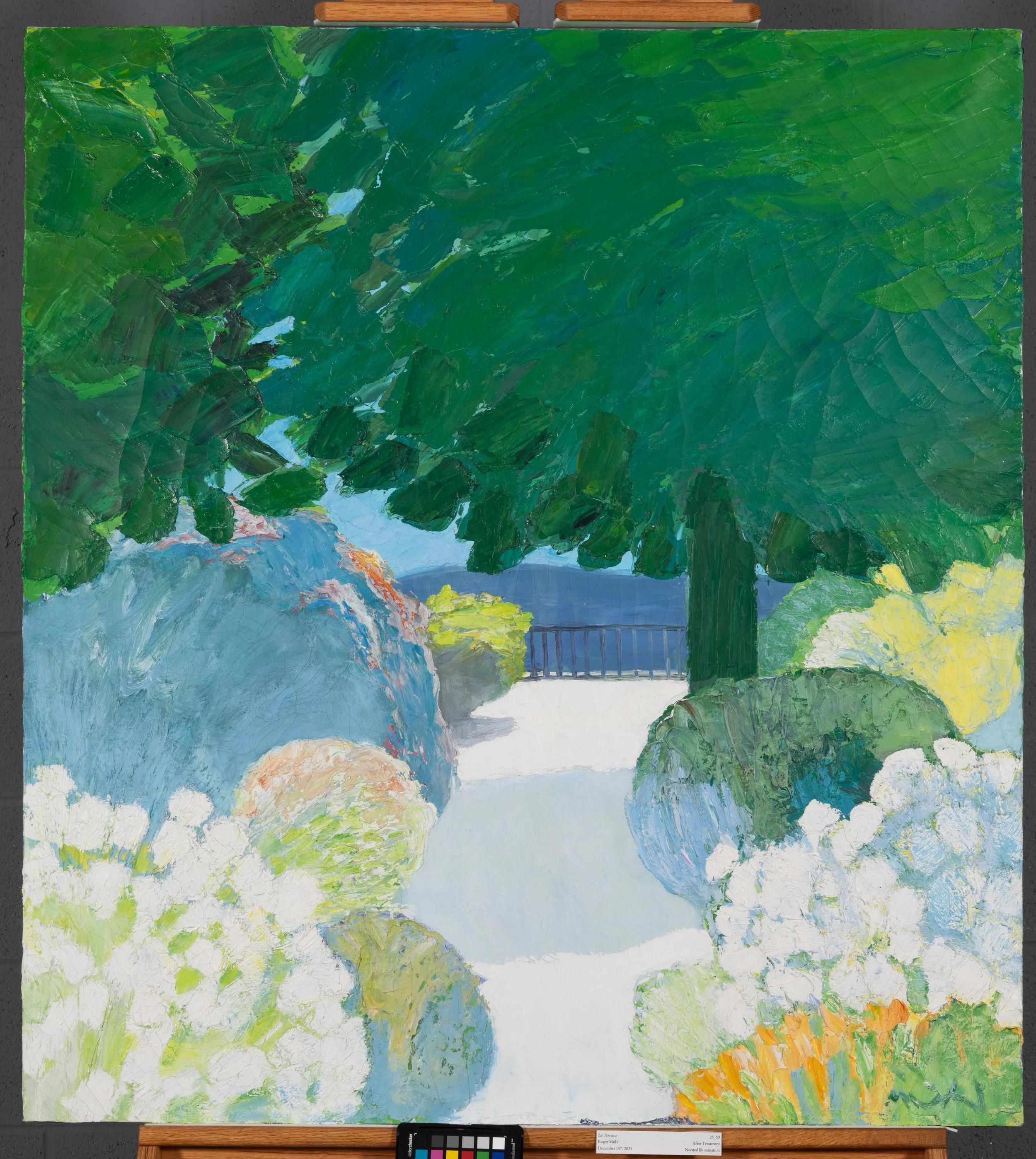 After Treatment, Normal Illumination