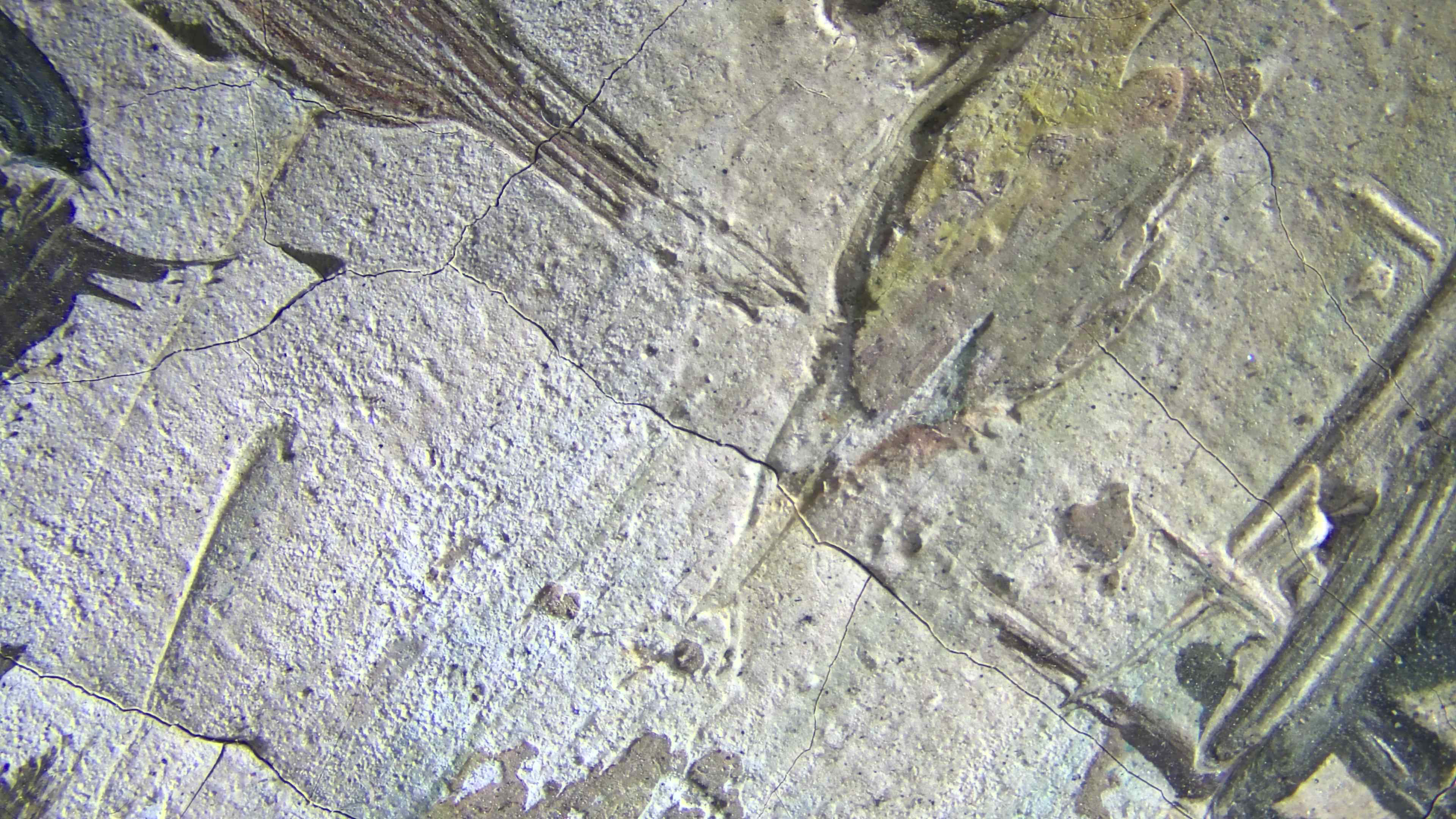 Highly magnified shot of white paint on a painting showing the fine, microcracks in the paint, areas of missing paint, and how thin or thick the paint is applied to the canvas