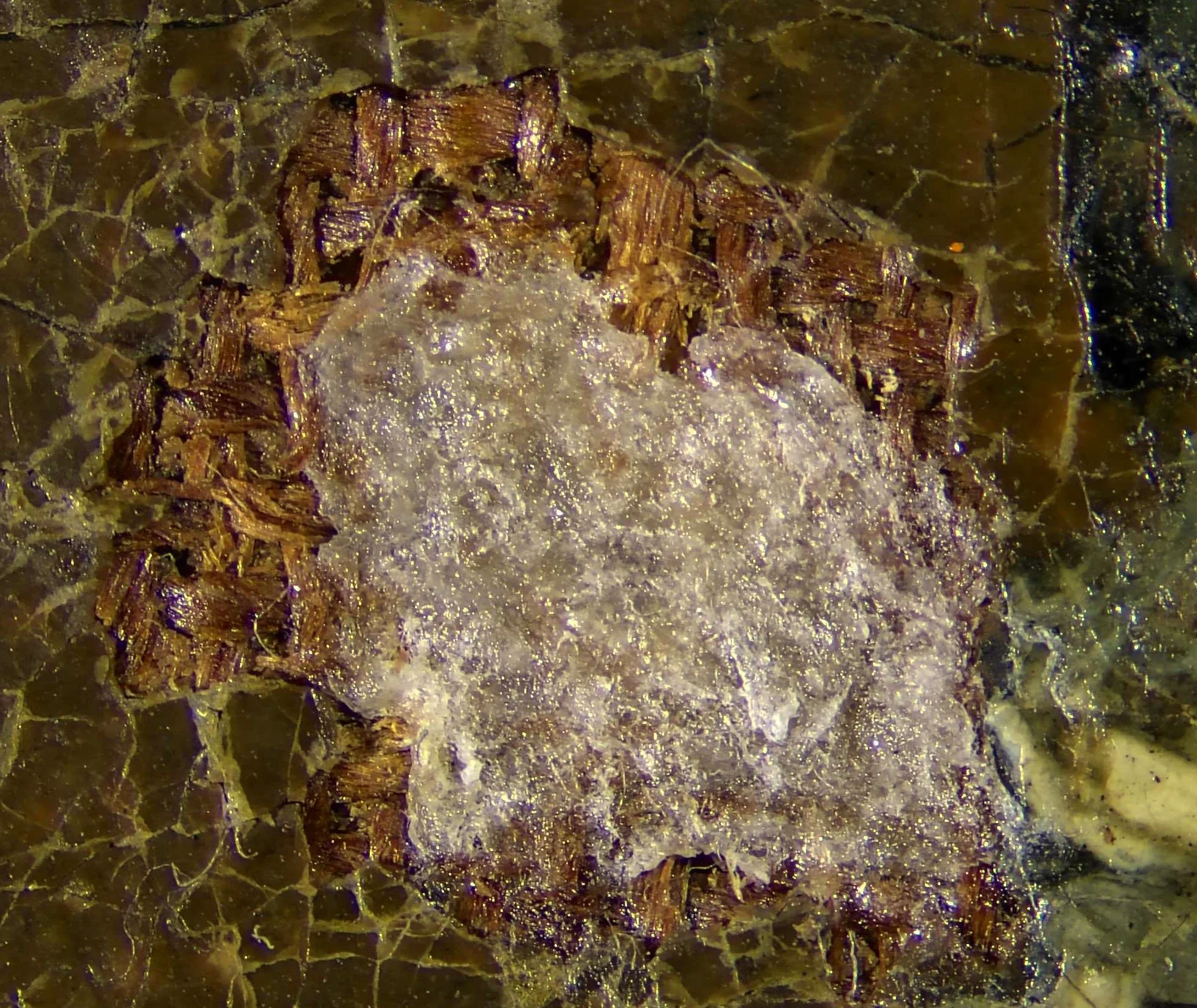 During Treatment Tear 2, 63x Magnification, Bulked mend