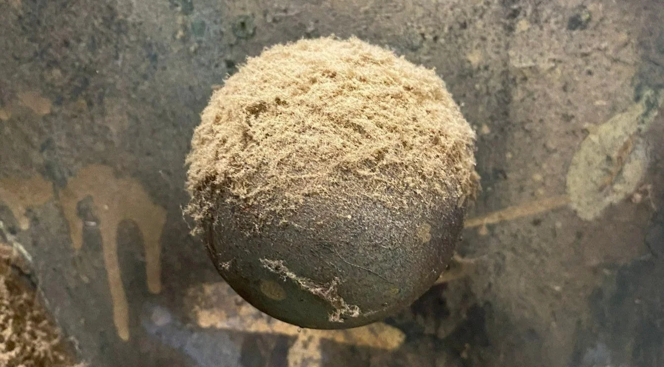 Detail shot of a thick layer of dust accumulation  on a gray metal ball attached to a canvas painted gray