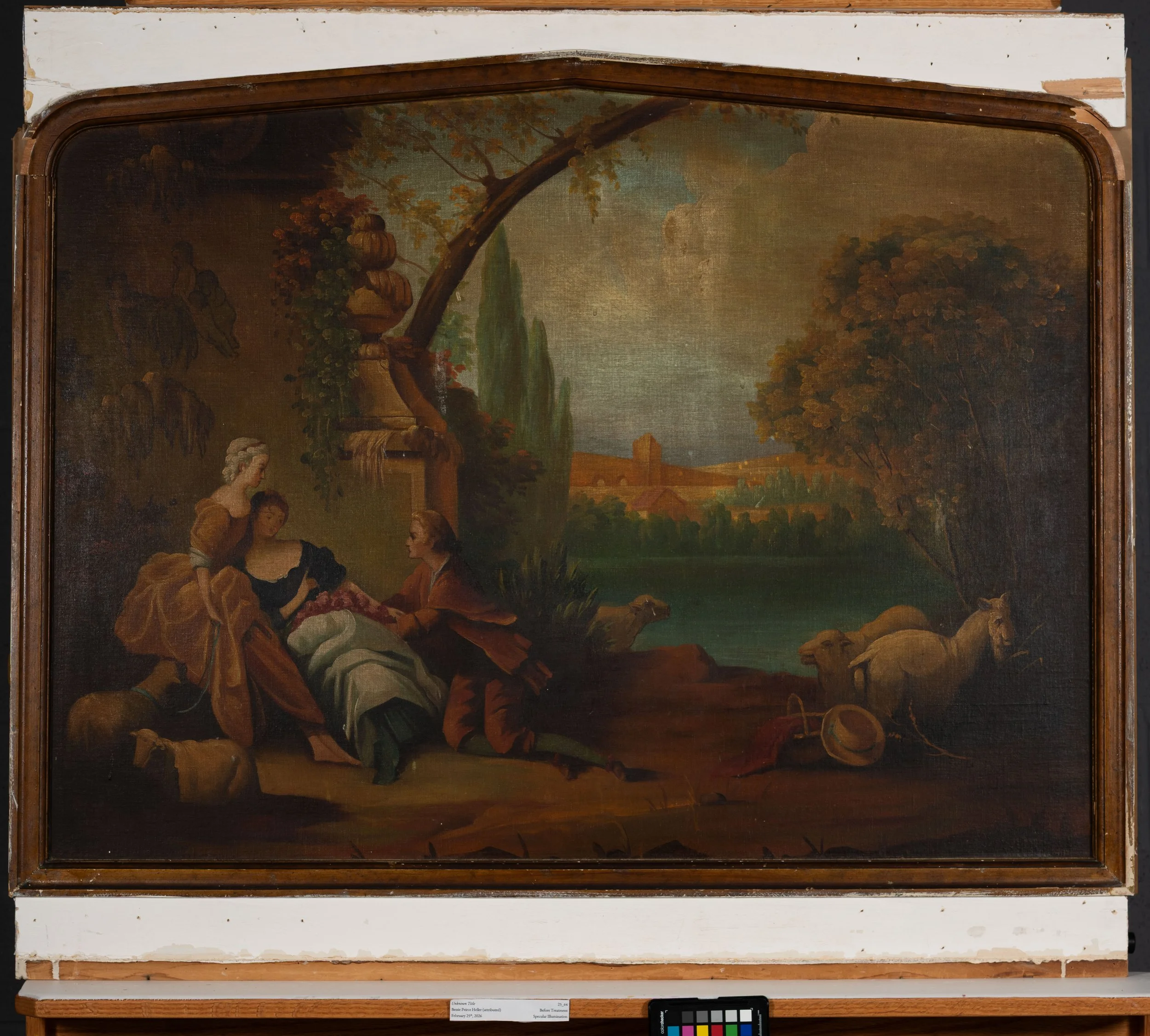 Before Treatment, Normal Illumination