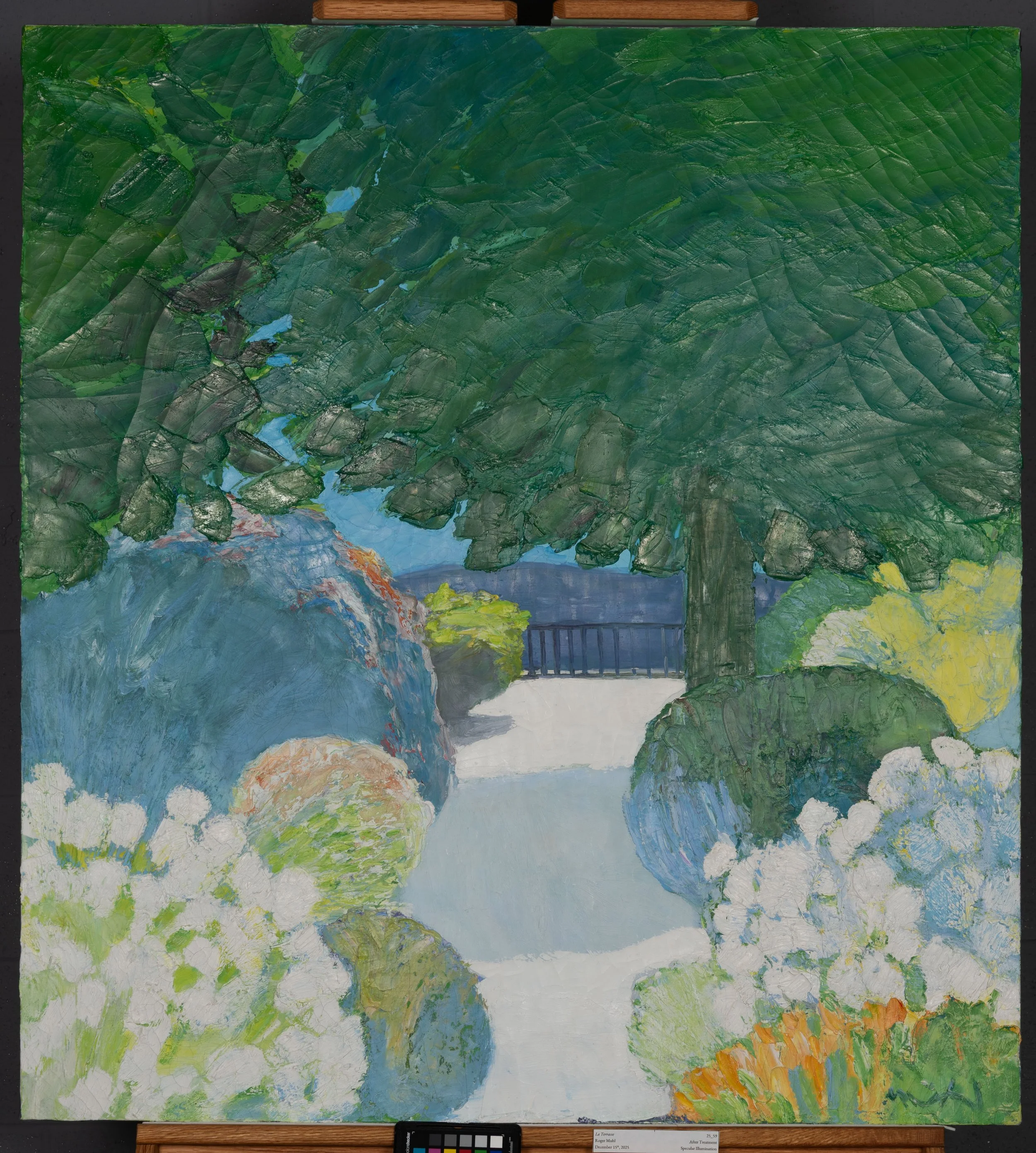 After Treatment, Specular Illumination