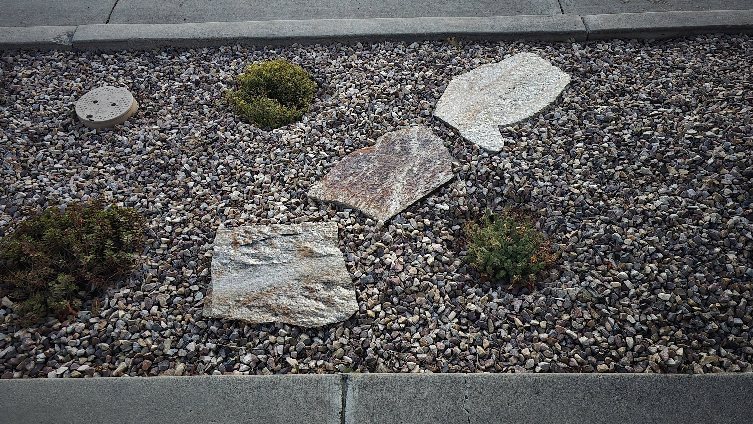 20240901_202021.jpg
