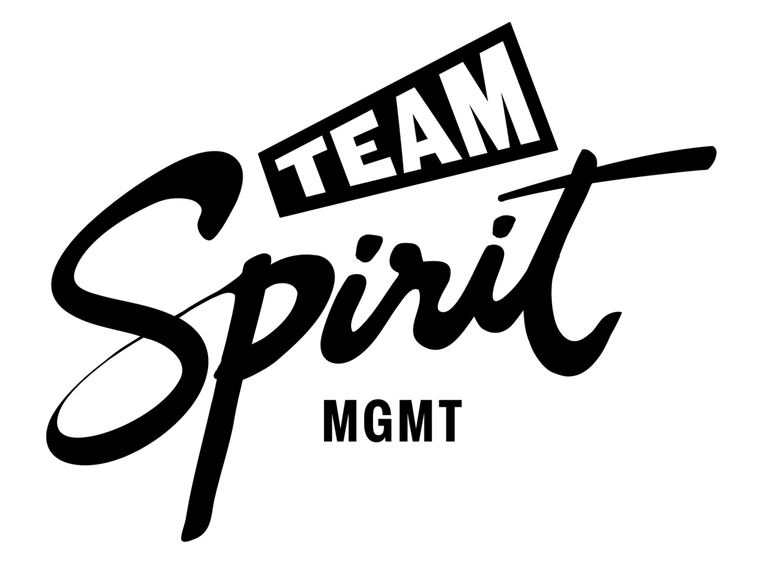 TEAM SPIRIT MGMT