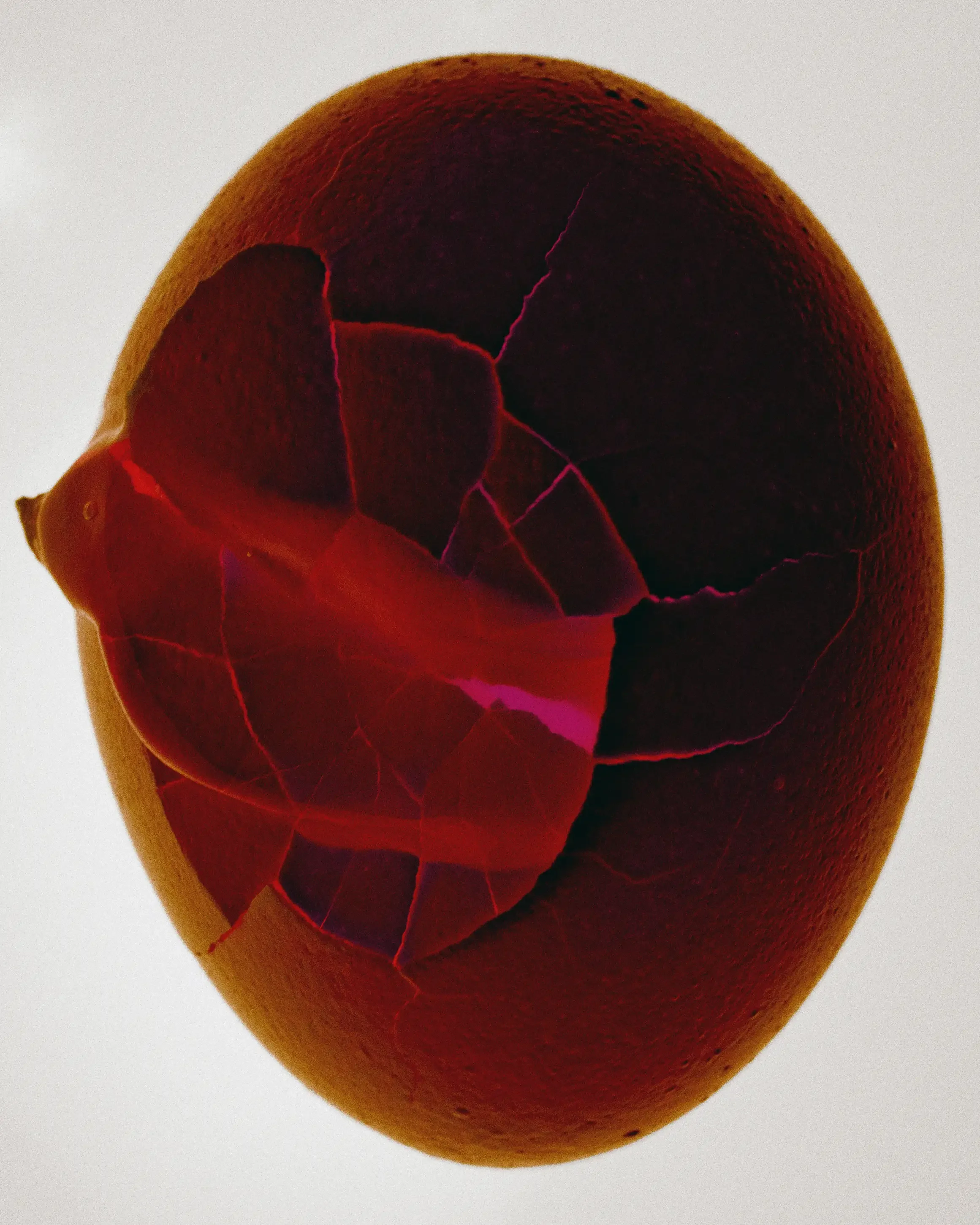 EGGS_2E0A2842 copy 2.webp