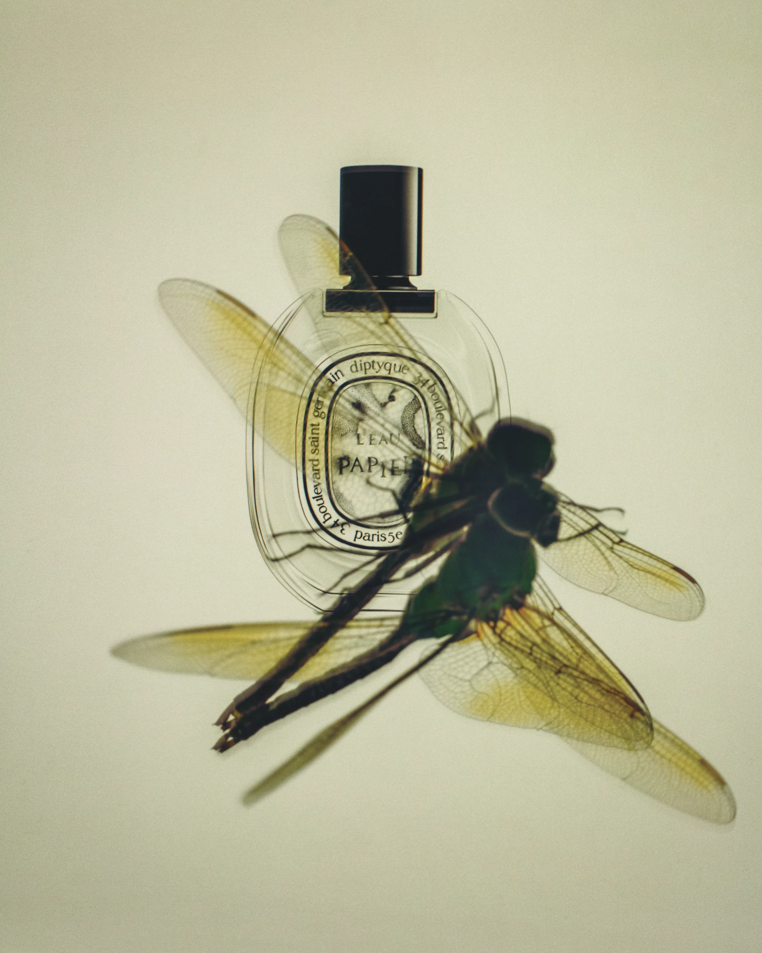 VPH_2E0A3251.webp