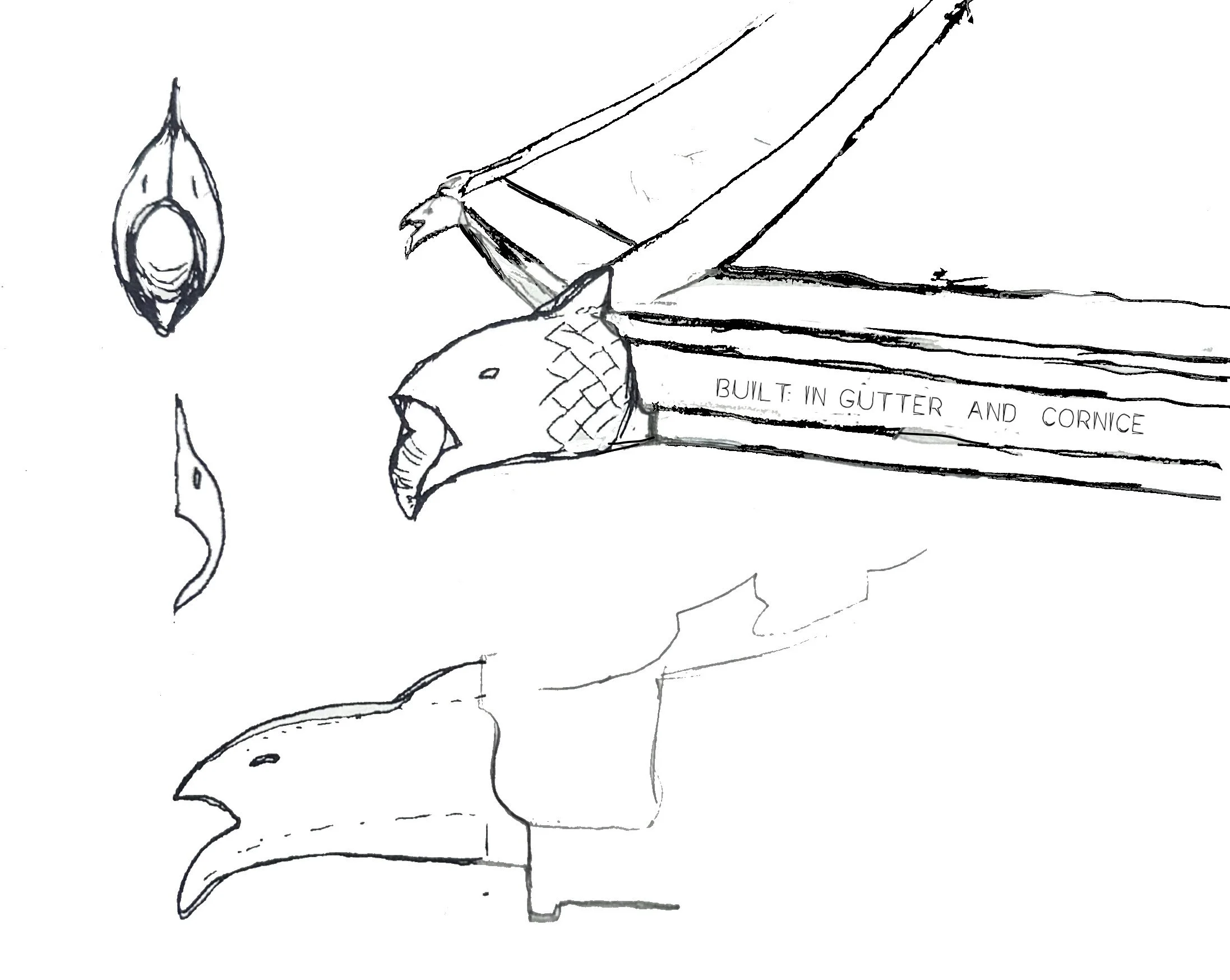 Frost Drawing.jpg