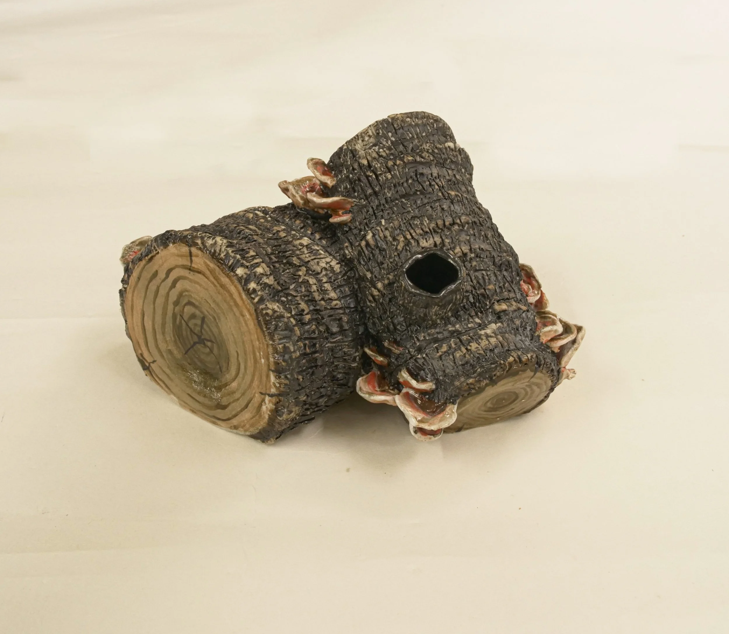 P1055530 copy.jpg