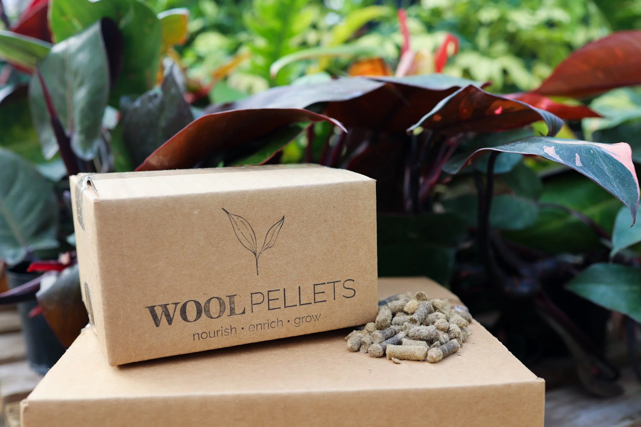 Wool Pellets