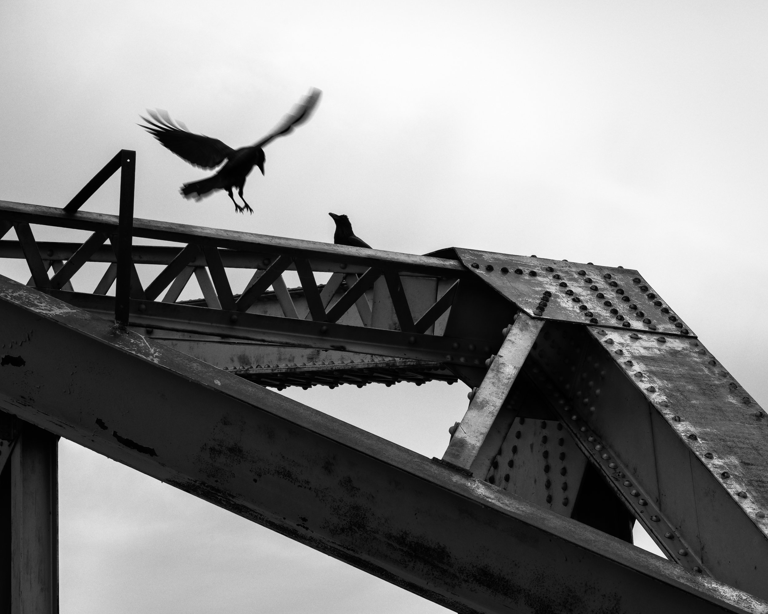 Shadows: Four Corners