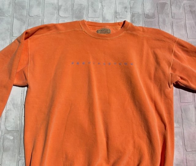 Santee HVYWT Coral _Providence Town_ Crewneck detail.jpg