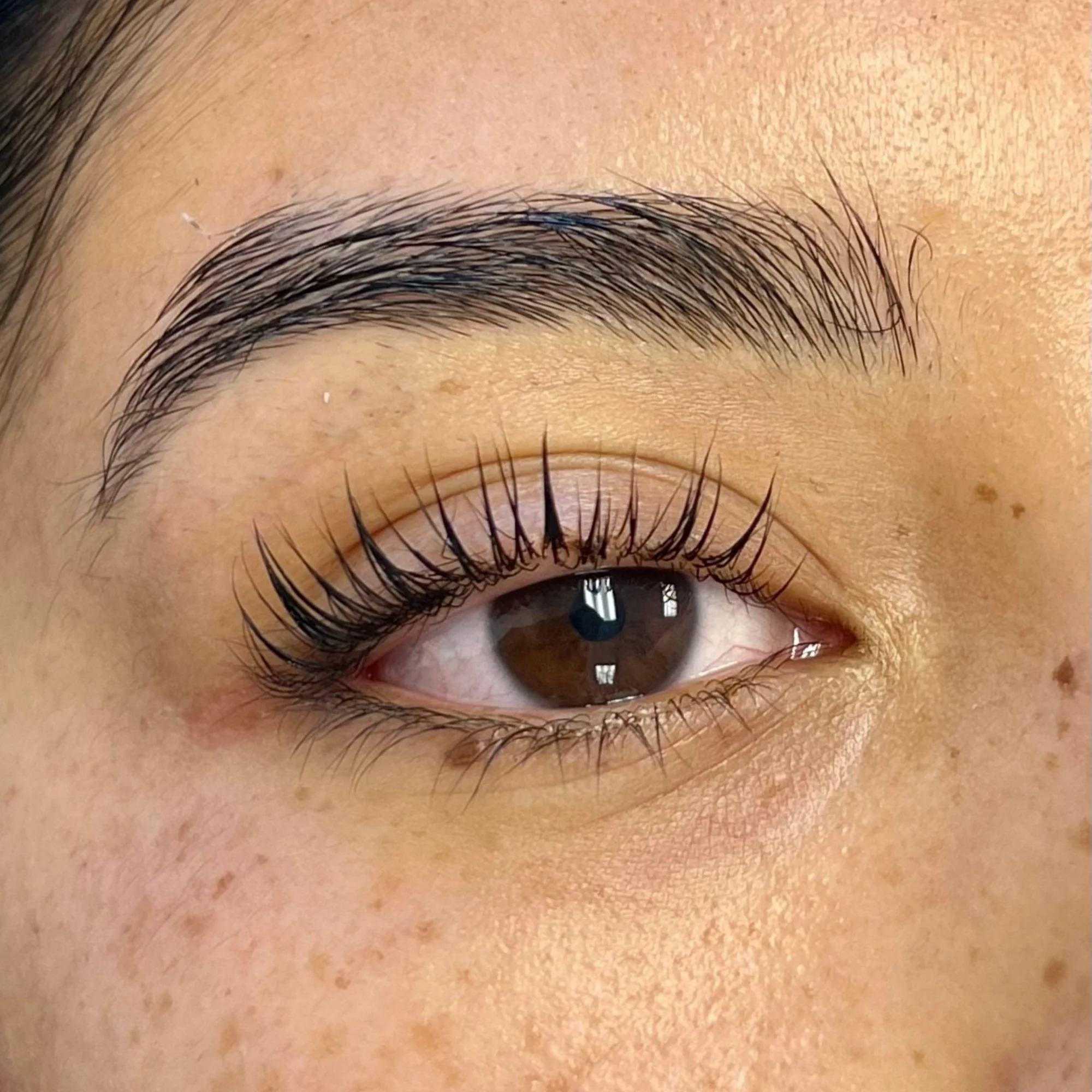 Delaware lash lift and tint