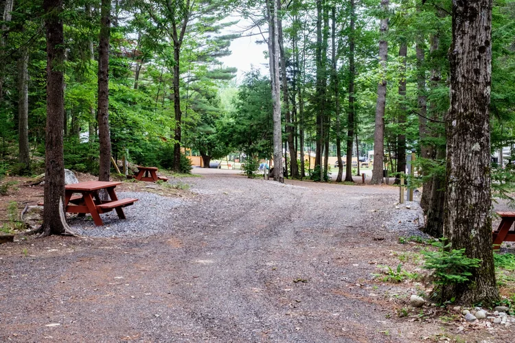Rates — Cedar Haven Family Campground