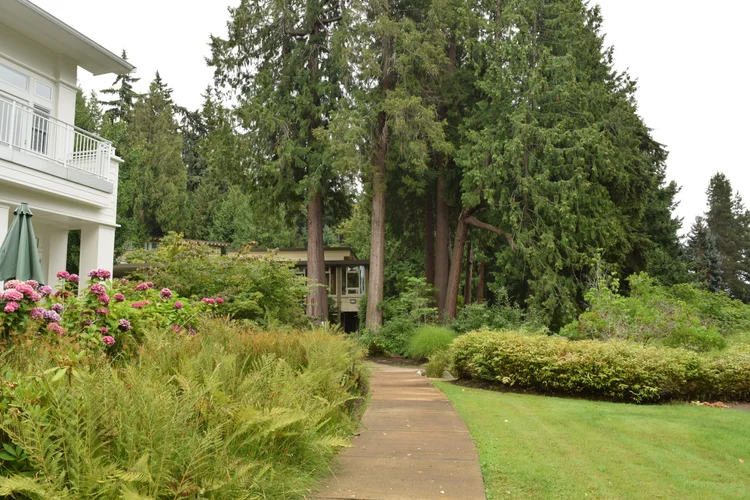 Labyrinth Walk