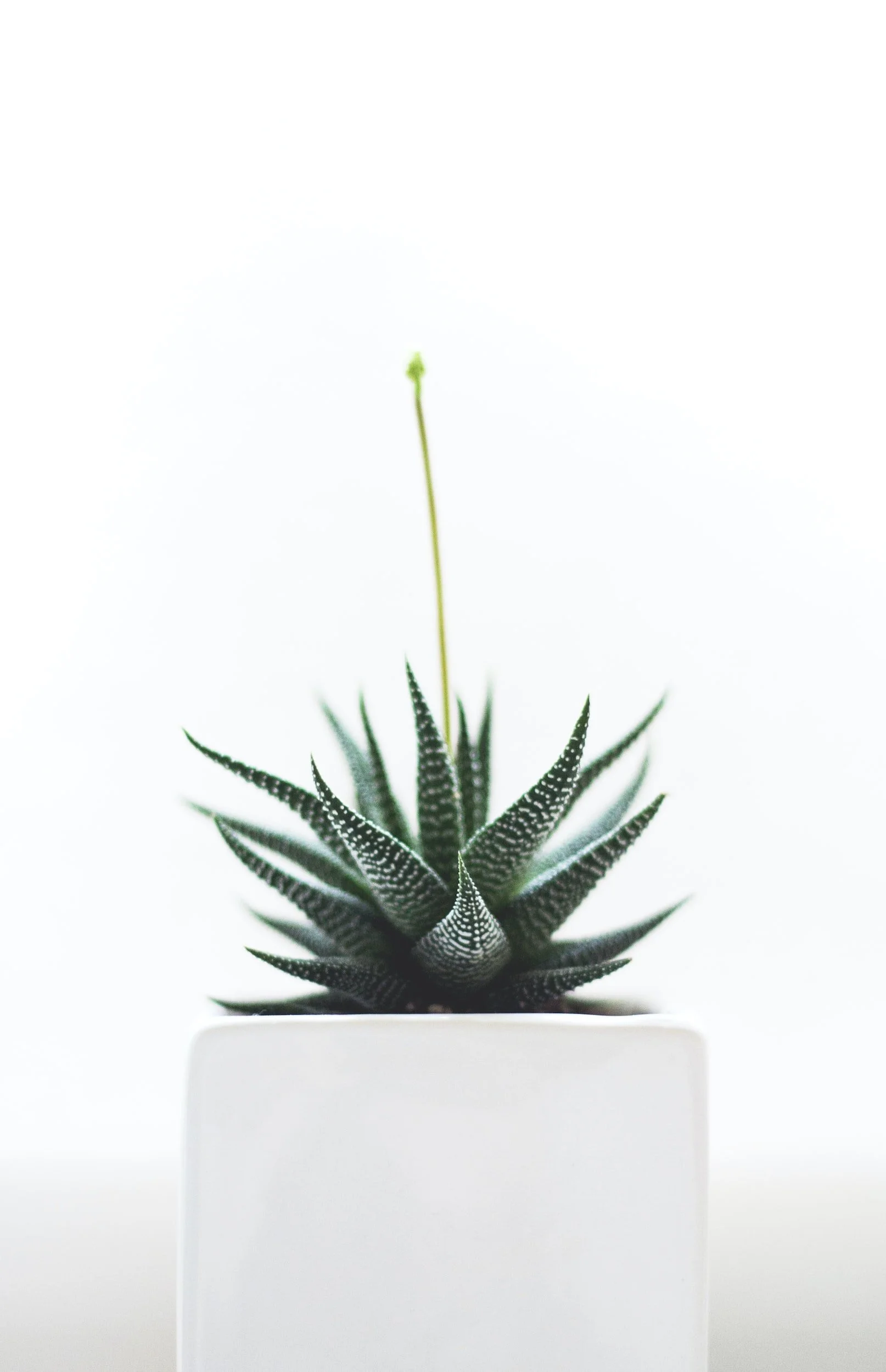 EMDR certified Colorado, EMDR trained therapist Denver, EMDR therapy sessions, Denver EMDR specialist, EMDR psychotherapy Colorado