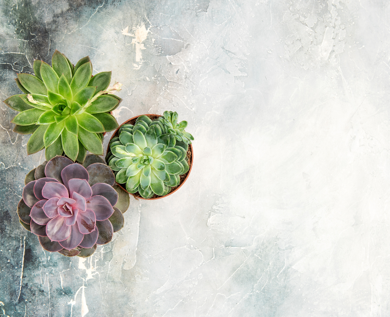 Does EMDR Really Work to Heal Trauma? How to Find an EMDR Therapist