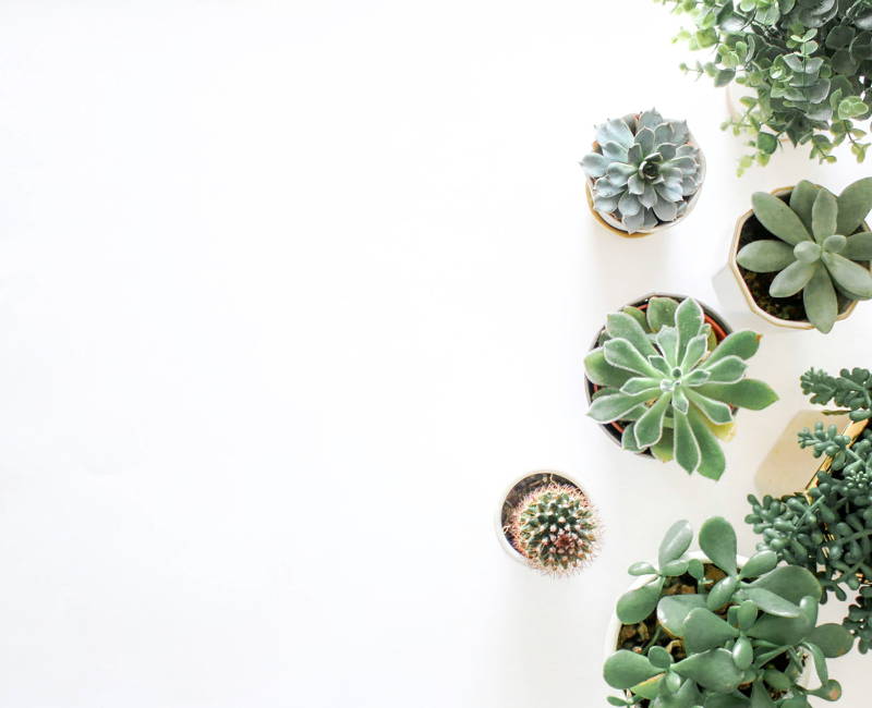 does EMDR therapy work, EMDR for trauma healing, finding EMDR therapist Denver, EMDR therapy effectiveness, certified EMDR therapist, EMDR treatment benefits