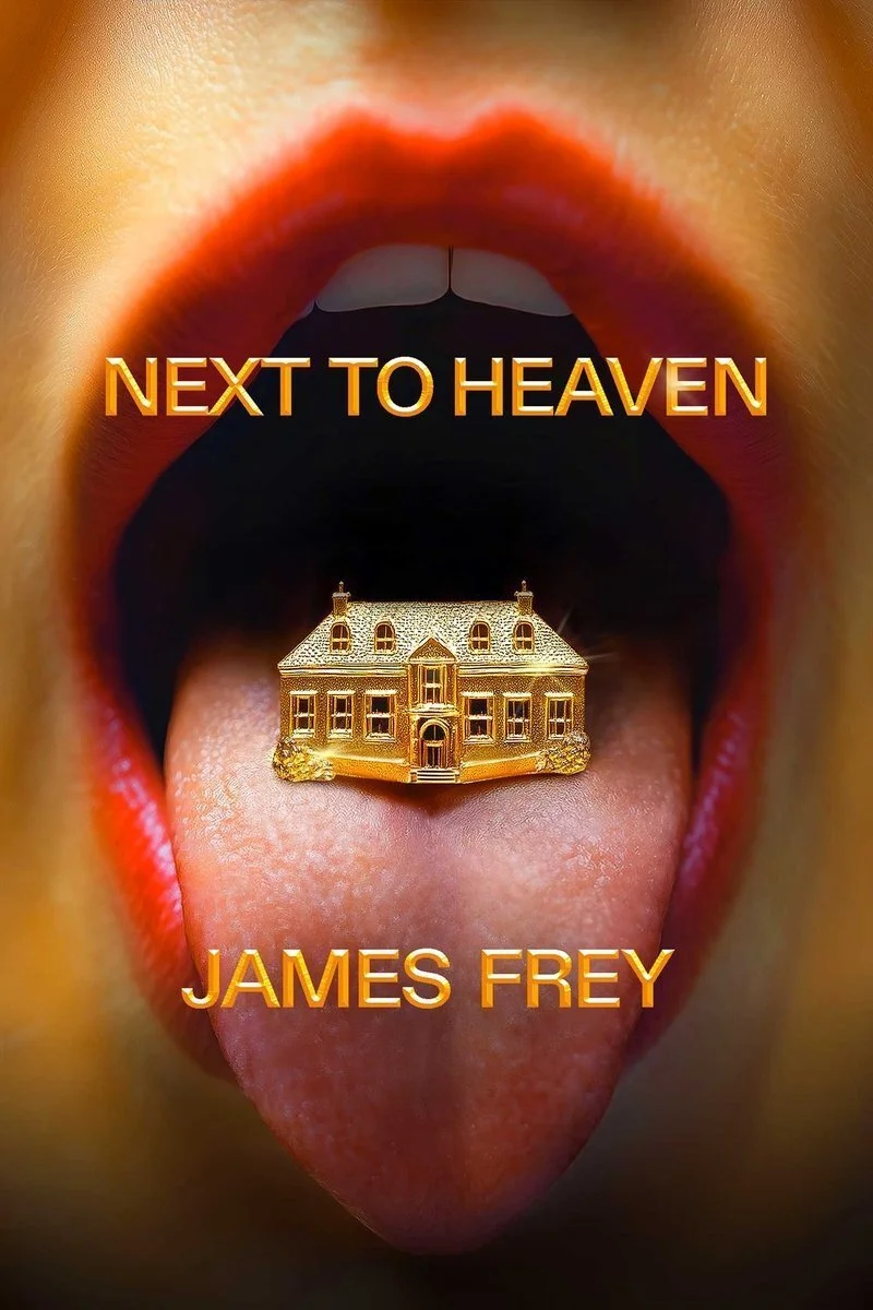Next To Heaven: A Novel By James Frey