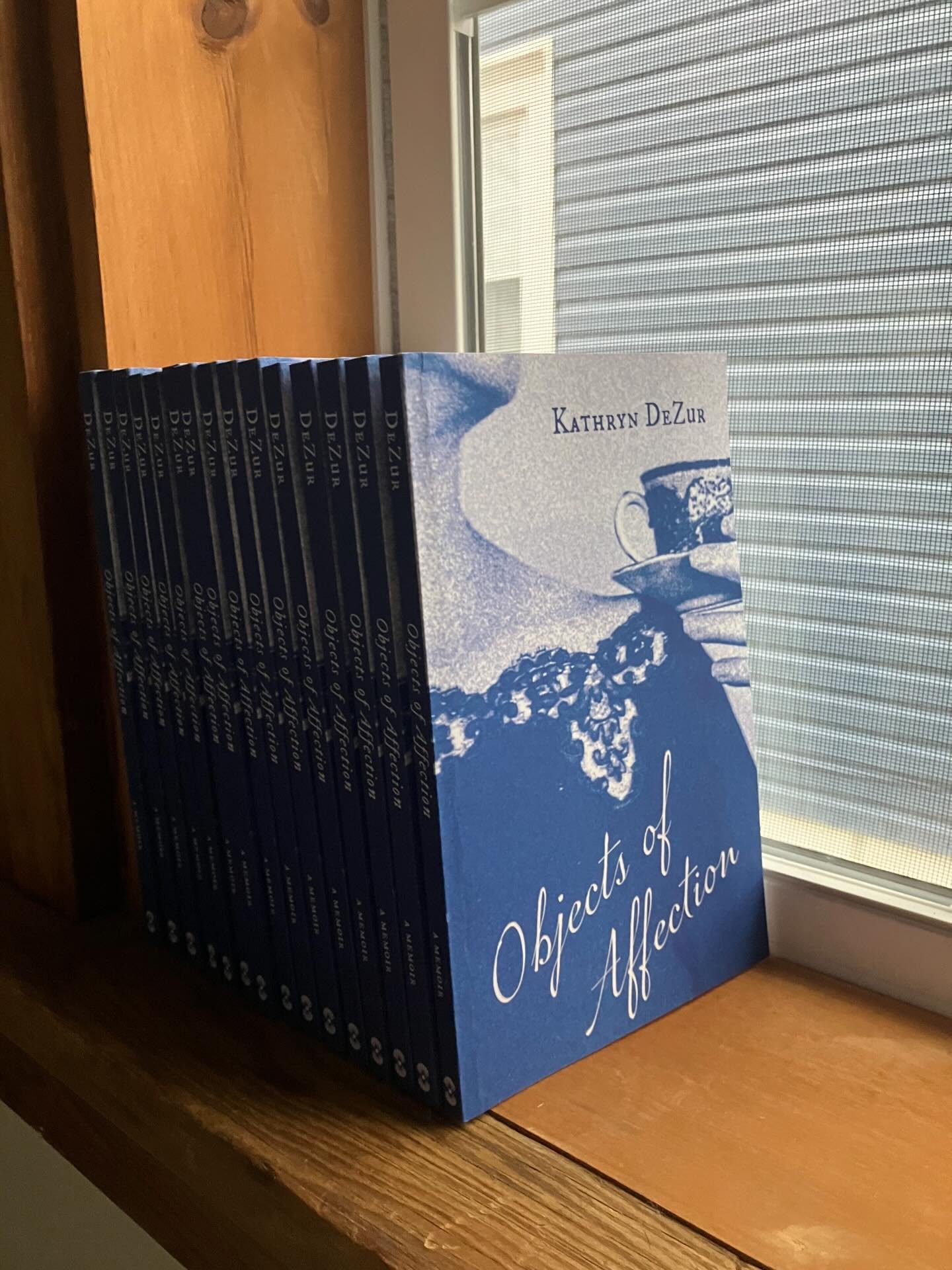Advanced copies of Objects of Affection: A Memoir in Essays by @kdz_photography are finally here! 

Get one of these limited-run copies at this year&rsquo;s @awpwriter Conference, table 966 in the bookfair. 

#memoir #awpconference #awp2026 #universi