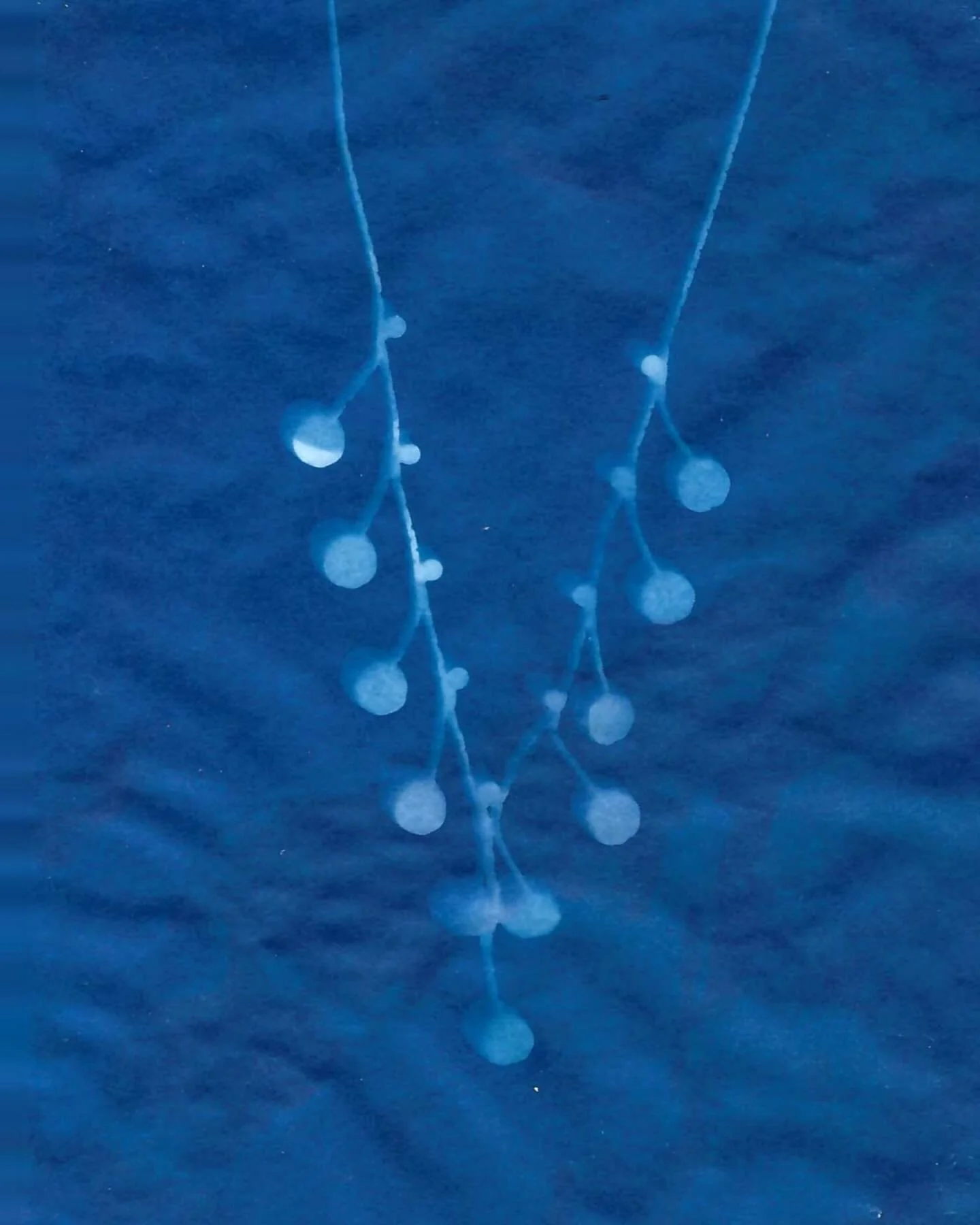 Sneak peek of three cyanotypes made by @kdz_photography as part of a collaborative project with this semester&rsquo;s SU Press class. 

Visit our Launch Party this Friday to see all our cyanotypes on display!

#cyanotype #cyanotypeprint #photogram #s